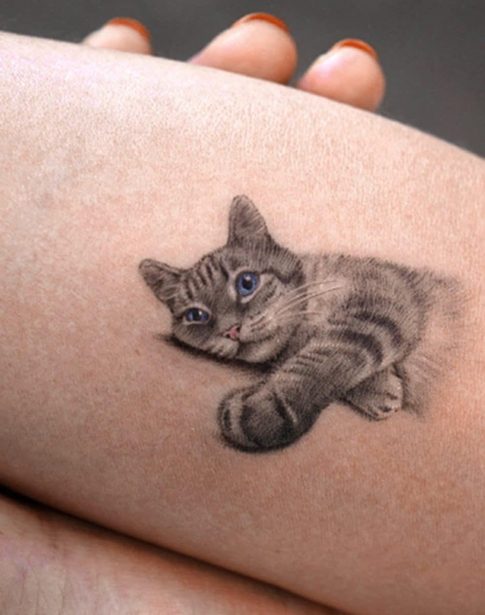 Realistic Cat Portrait on the Arm Tattoo Small Realism Tattoo Ideas