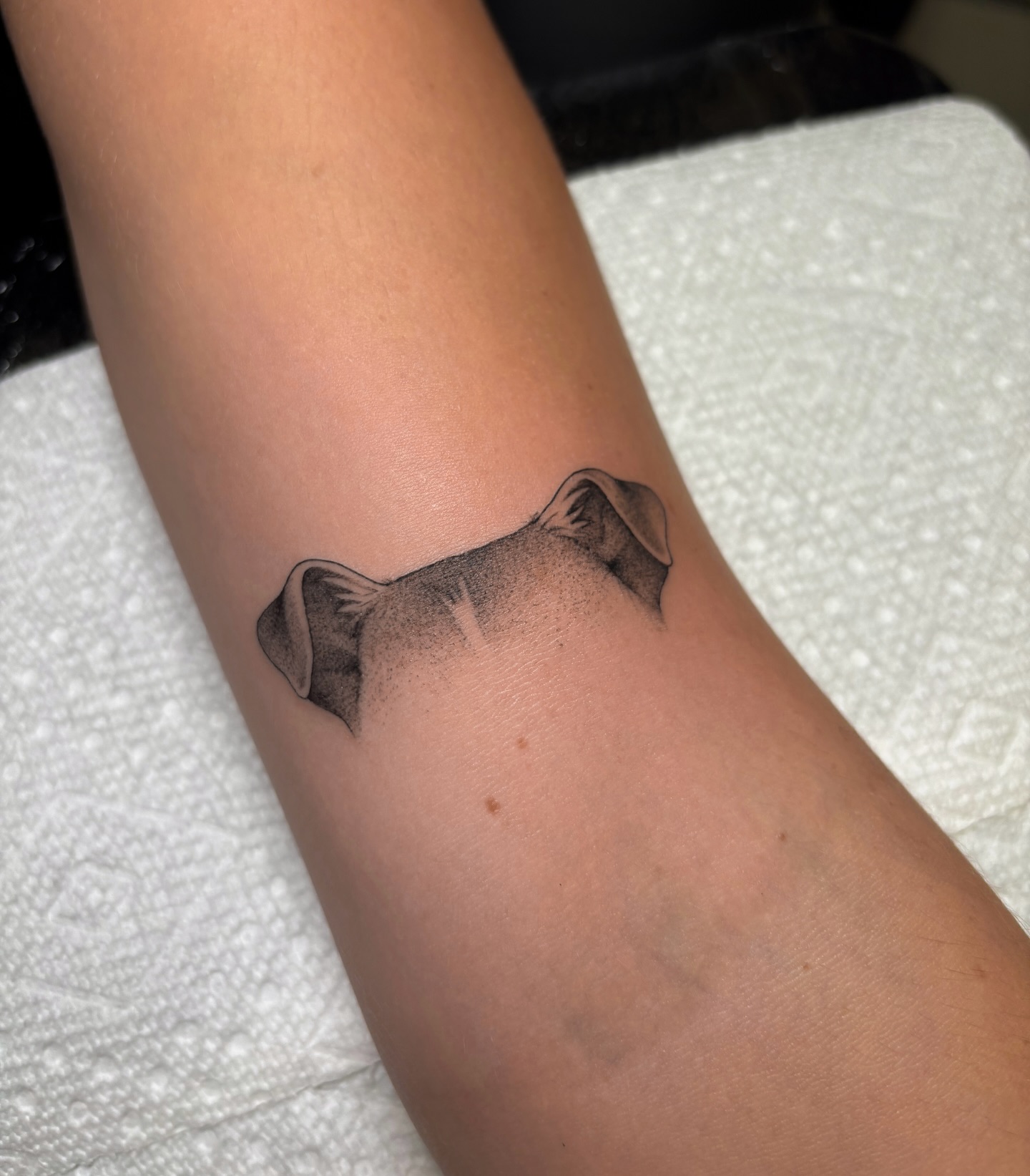 Northwardhounds Tattoo Design