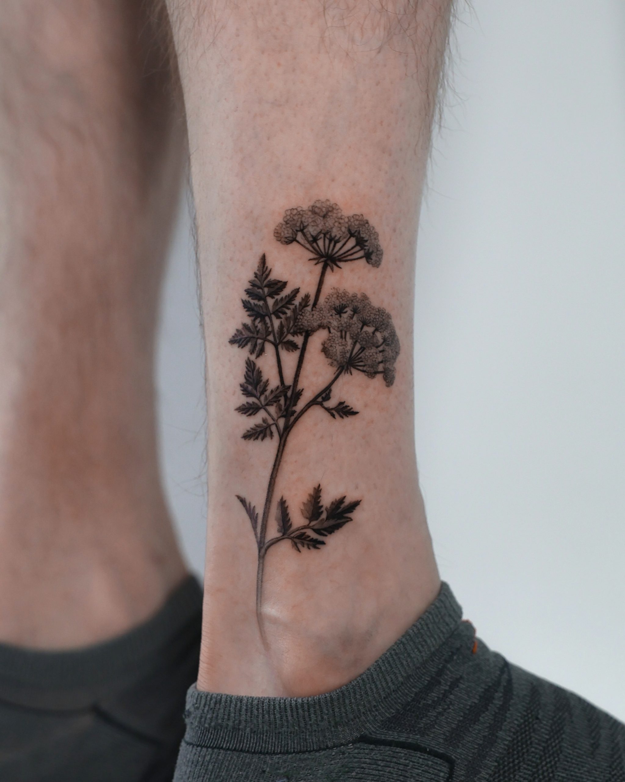 Queen Anne S Lace Flower Tattoo