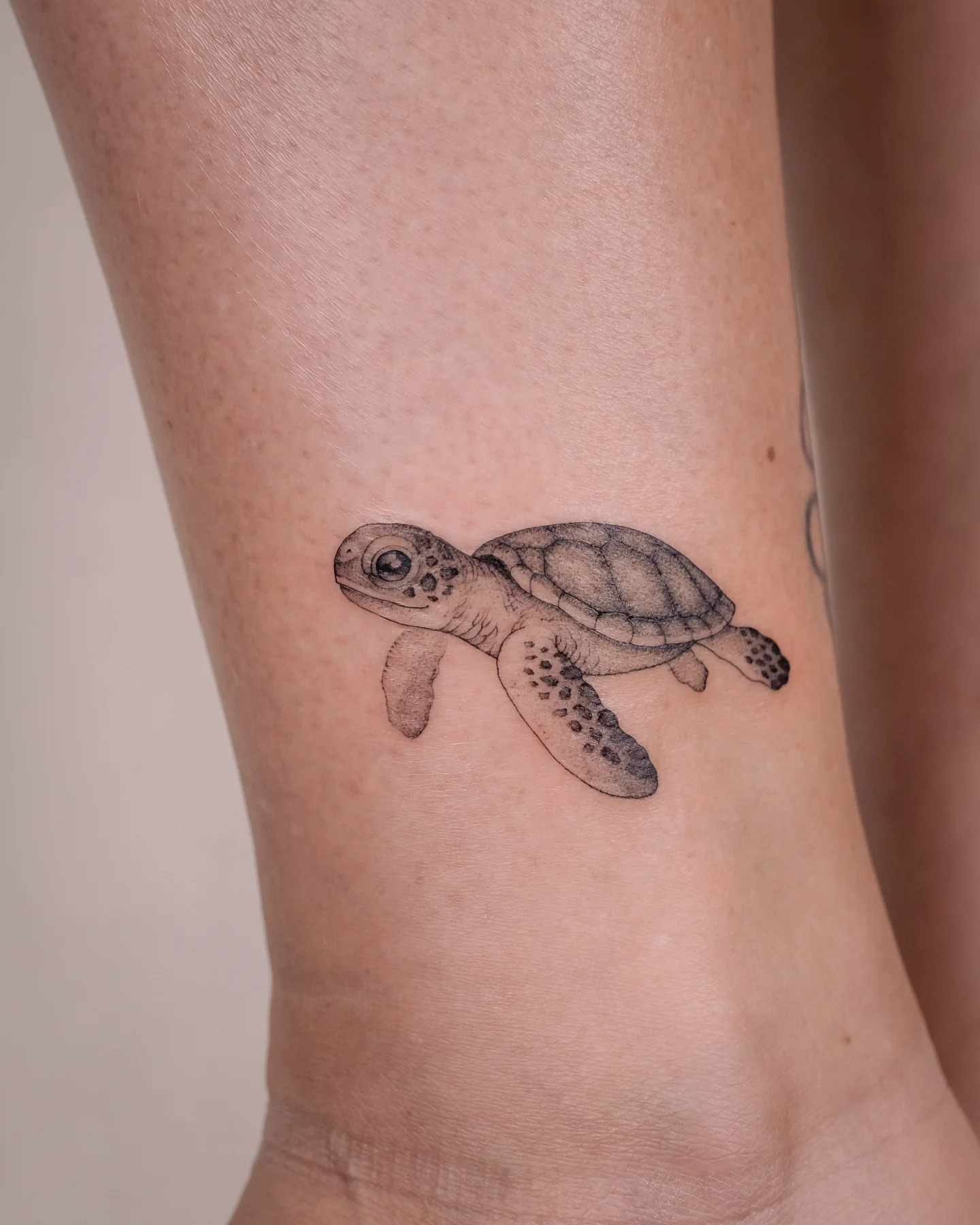 Baby Sea Turtle Tattoo small turtle tattoo ideas tattoo