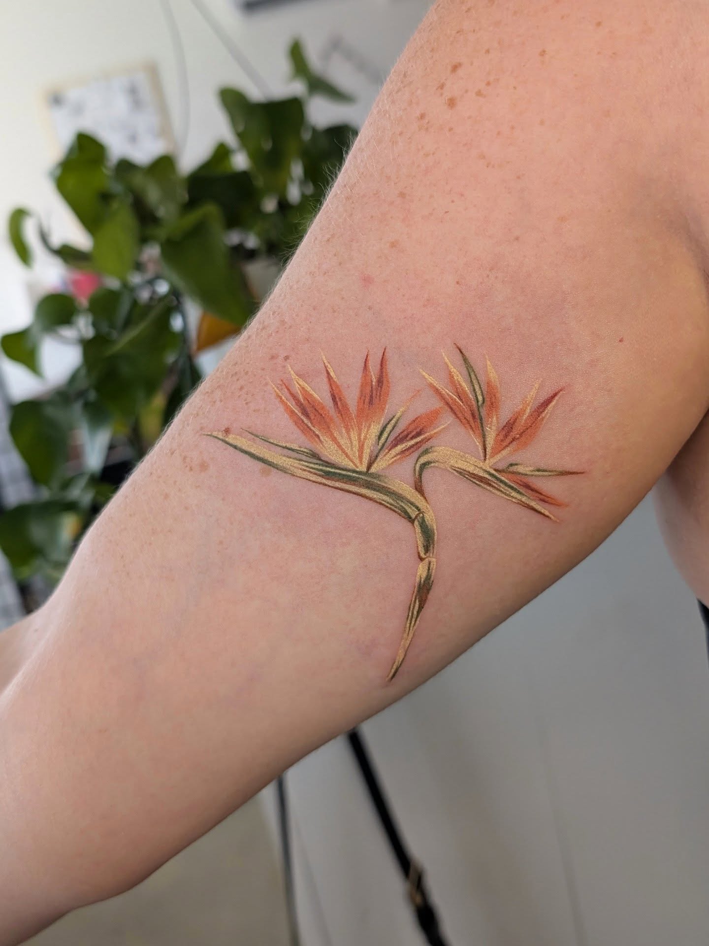 Bird Of Paradise Flower Bicep Tattoo