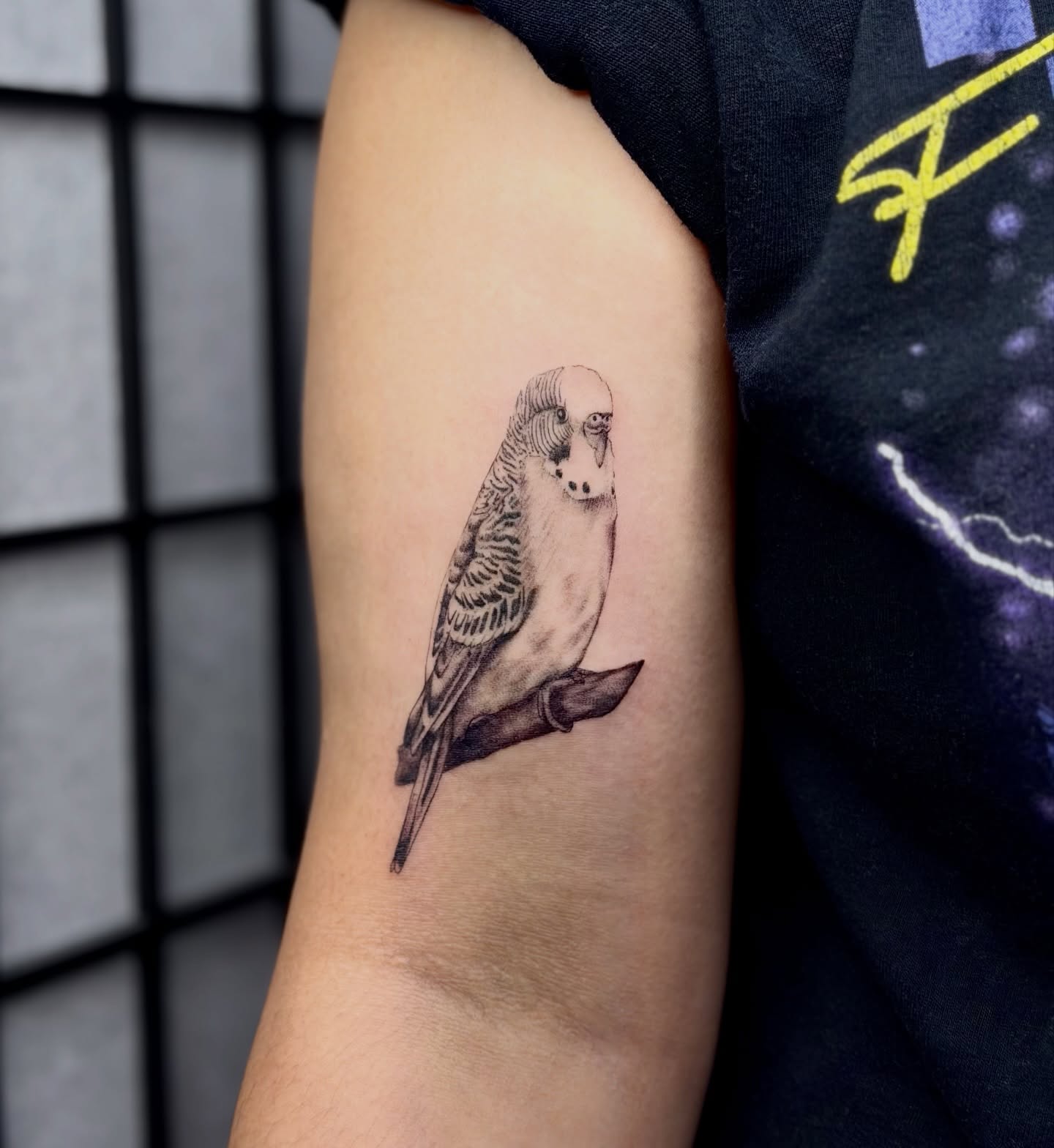 Budgerigar Bird Bicep Tattoo