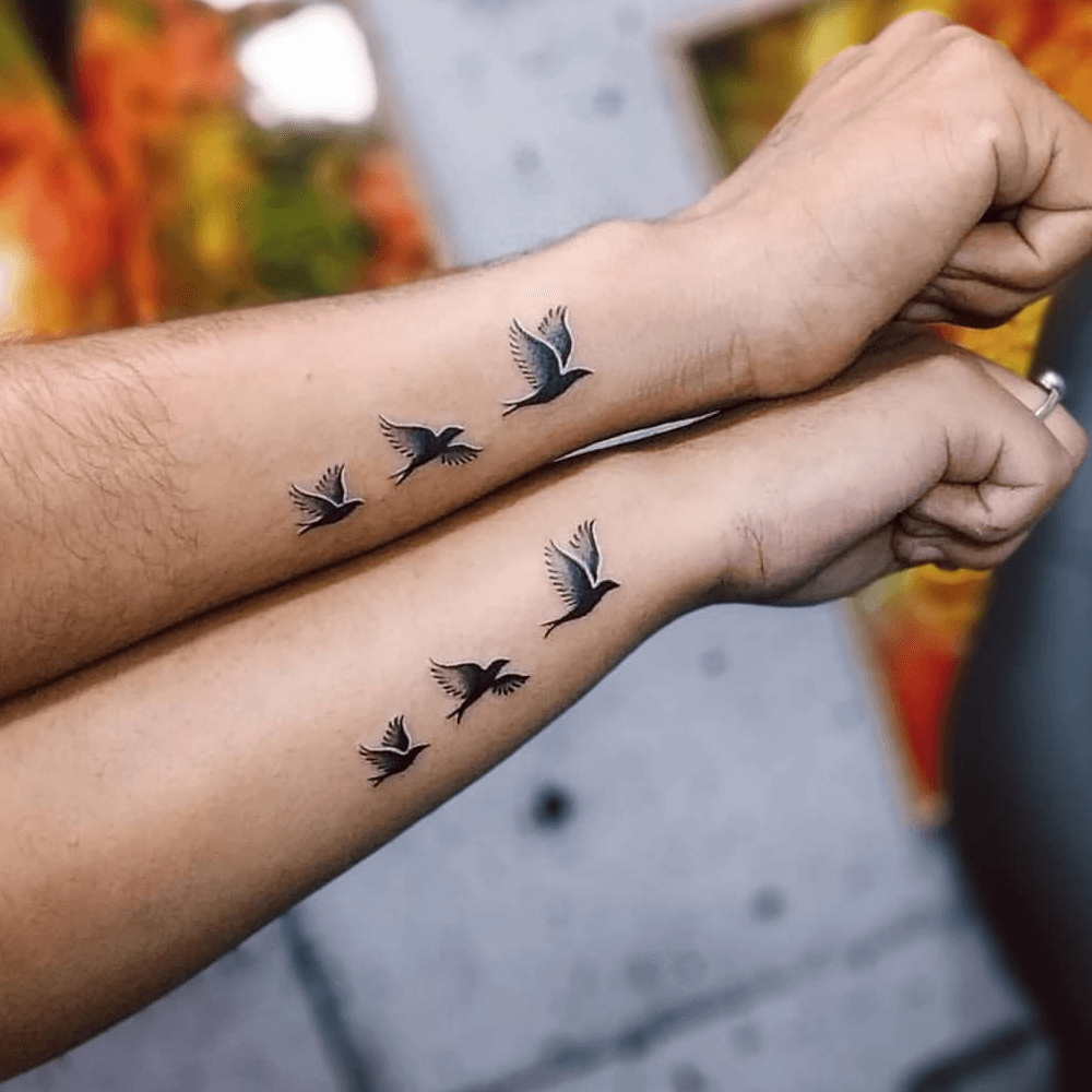 Birds in Flight