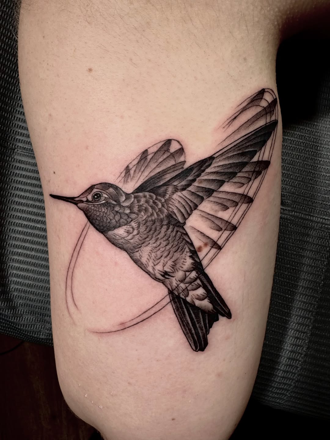 Black and Gray Realistic Hummingbird Tattoo hummingbird tattoos ideas tattoo