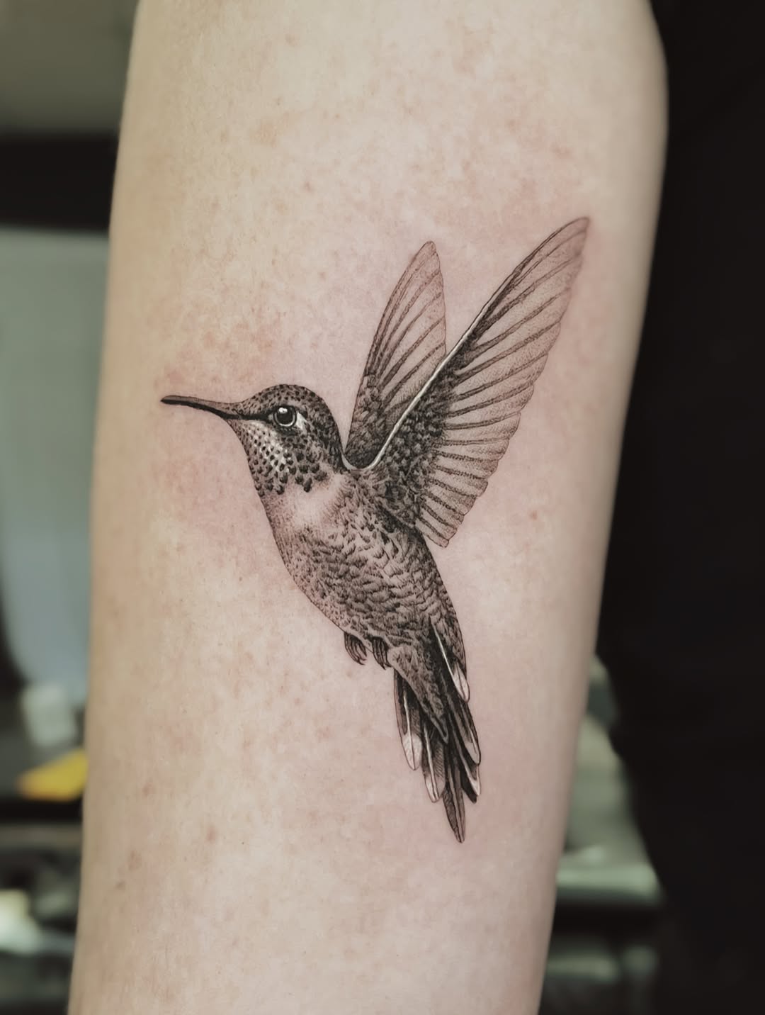 Black and Gray Realistic Hummingbird Tattoo hummingbird tattoos ideas tattoo