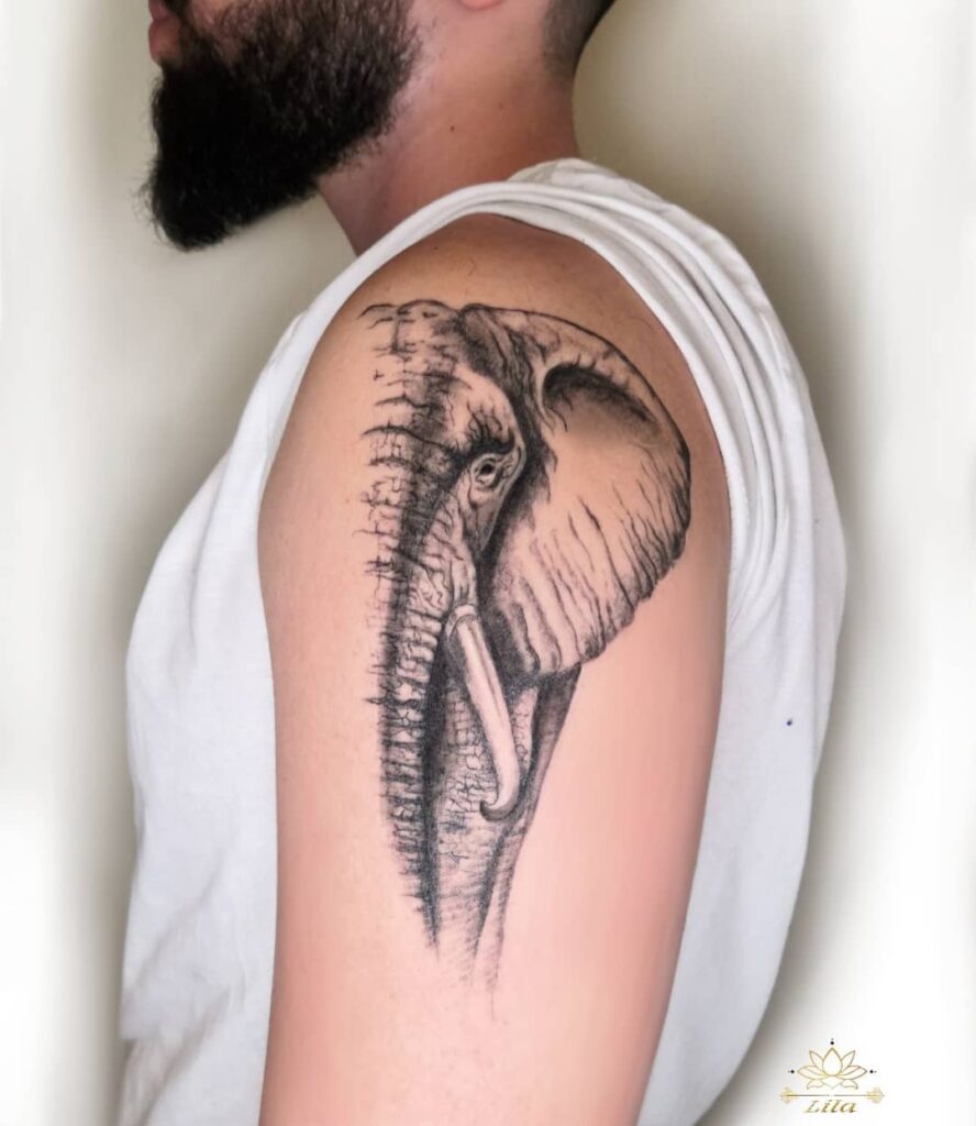 Black and gray elephant shoulder tattoo