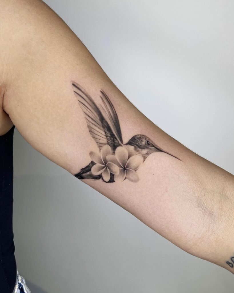 Black and Grey Hummingbird with Plumeria Flowers hummingbird tattoos tattoo