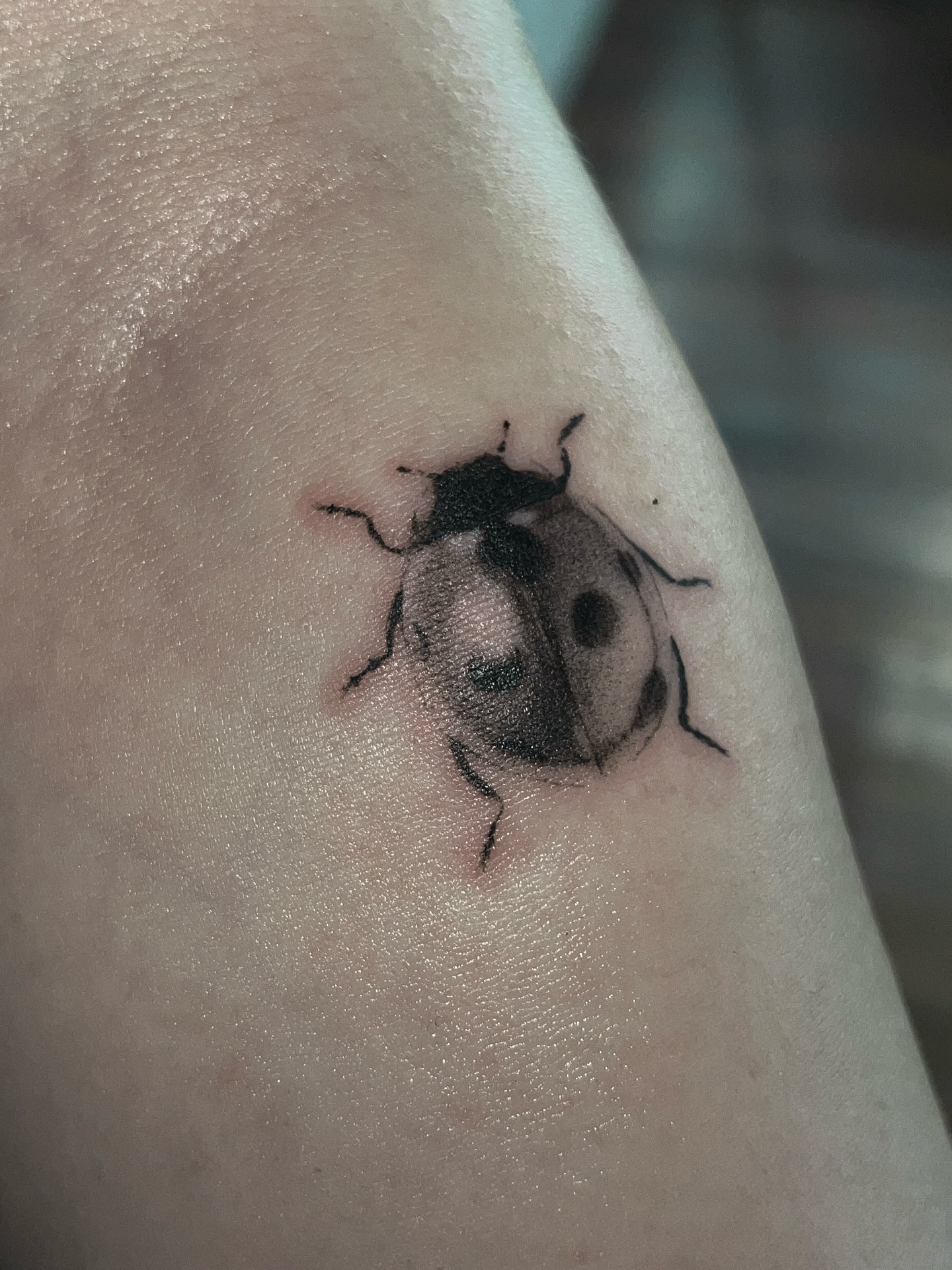 Three Ladybugs Tattoo