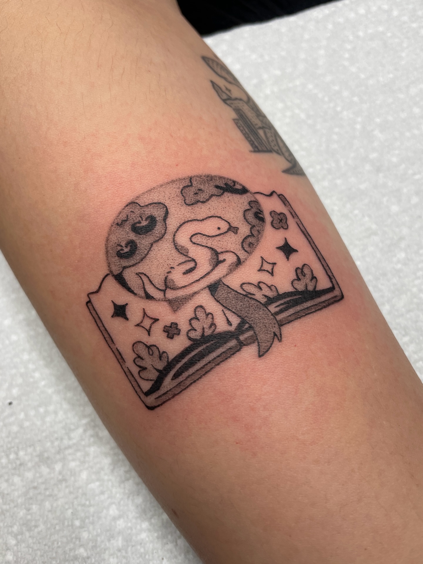 Snake And Open Book Tattoo