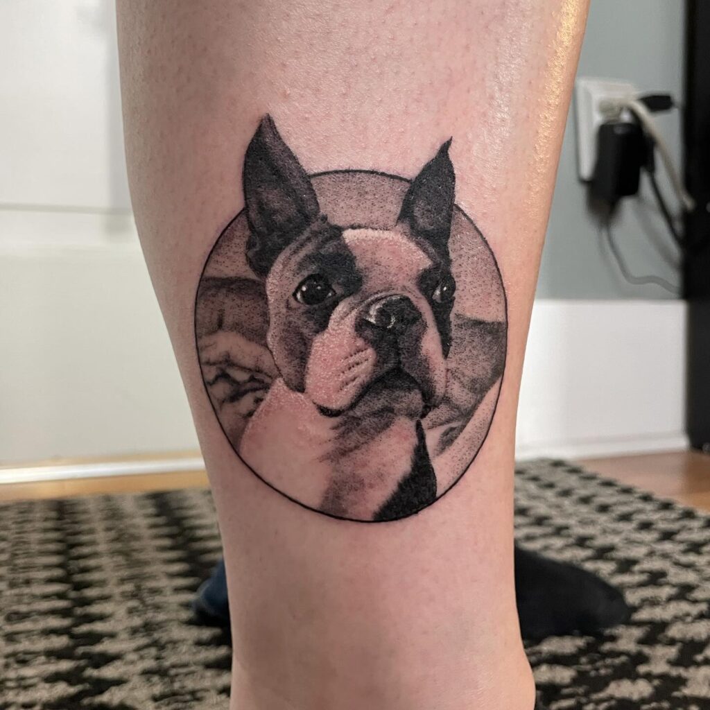 Boston Terrier Portrait with Circular Frame Tattoo dog memorial tattoos tattoo