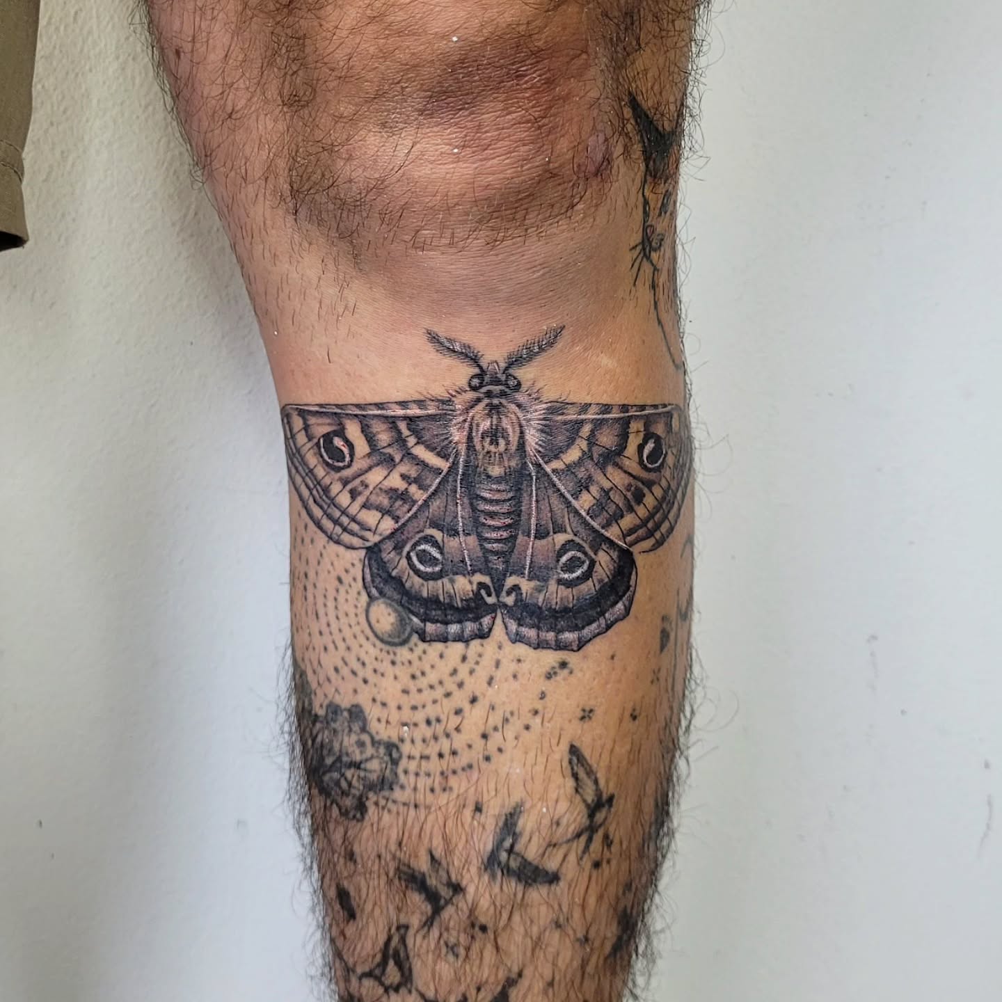 Patriciasullivantattoos Tattoo Design