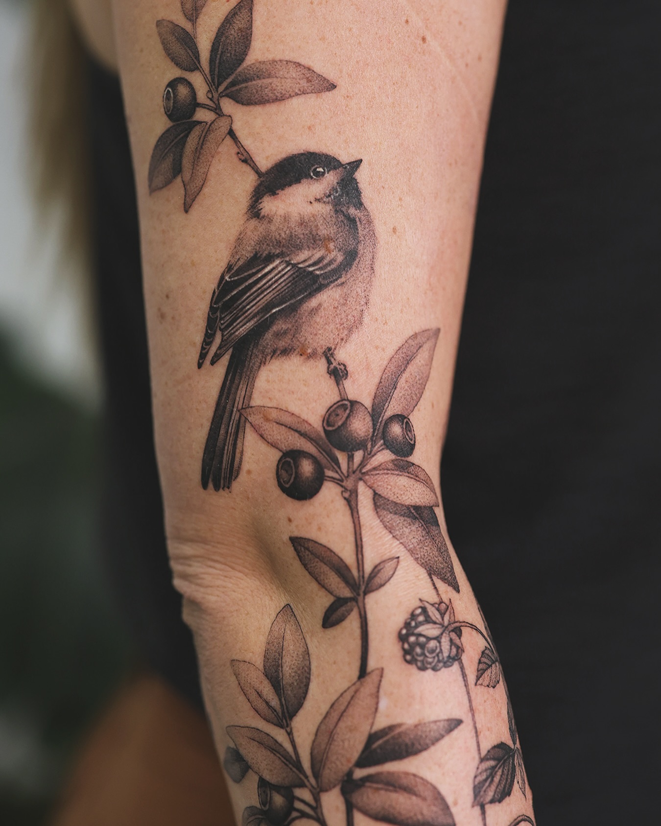 Chickadee and Berry Branch Tattoo bird tattoos ideas for women tattoo