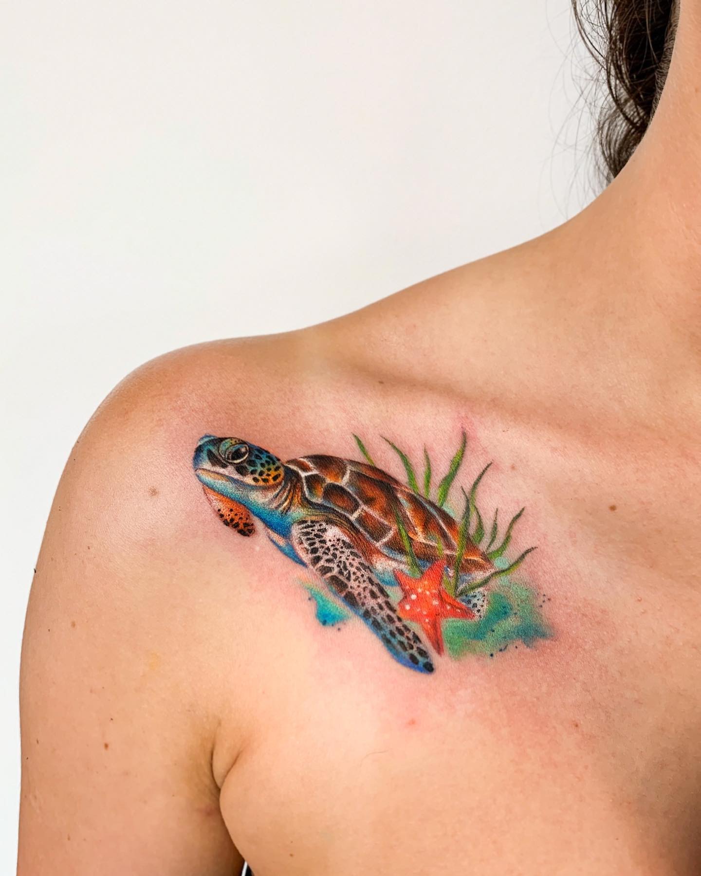 Coastal Sea Turtle with Starfish Companion sea turtle tattoo