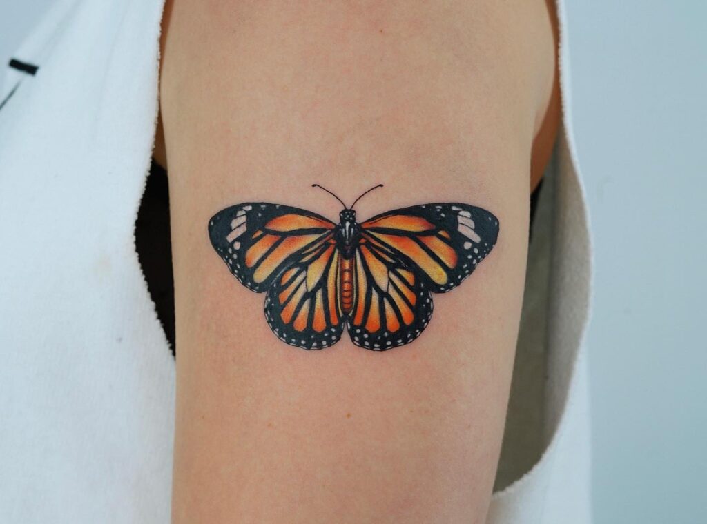 Color monarch butterfly tattoo on upper arm