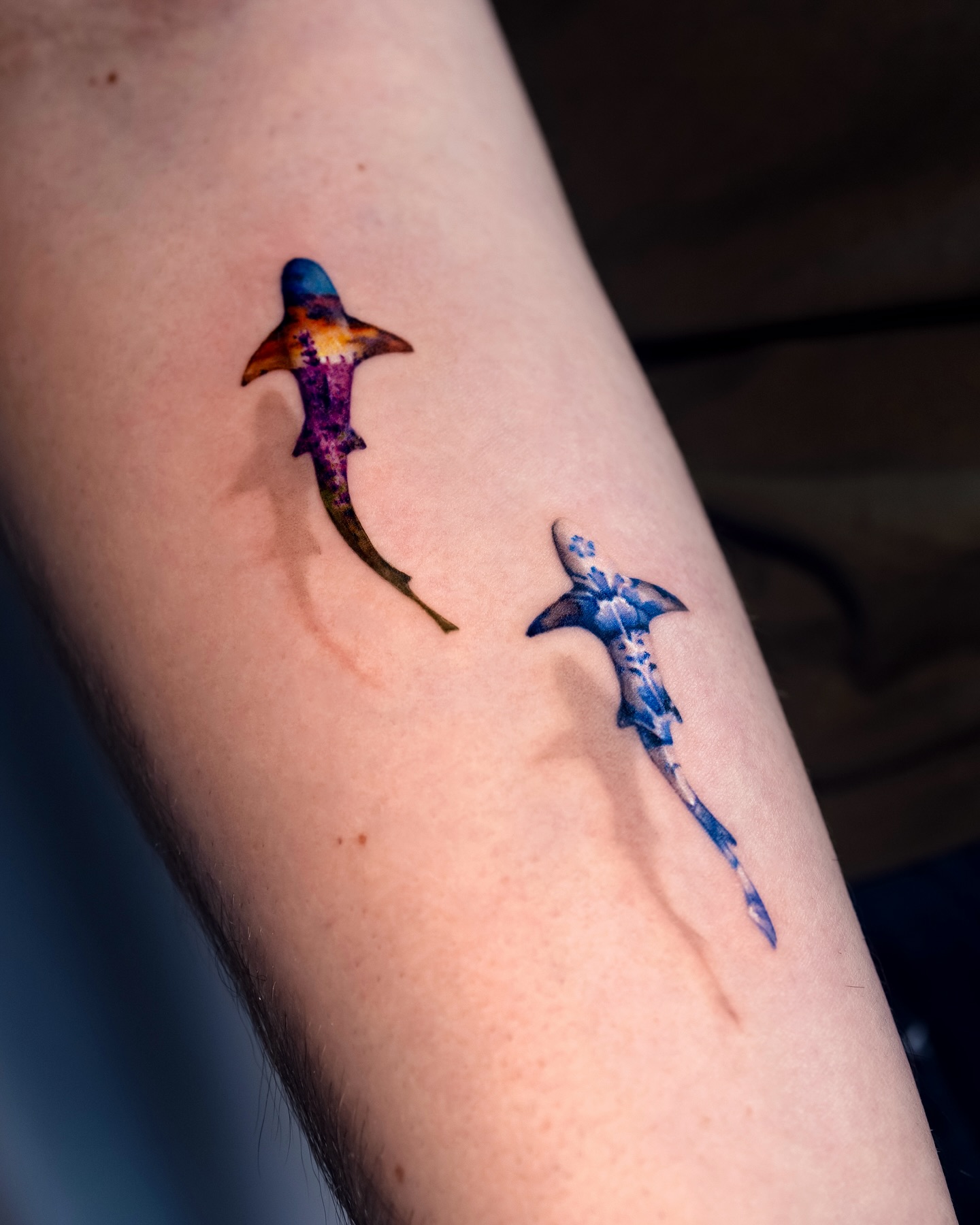 Hyper Realistic Shark Head Elbow Tattoo
