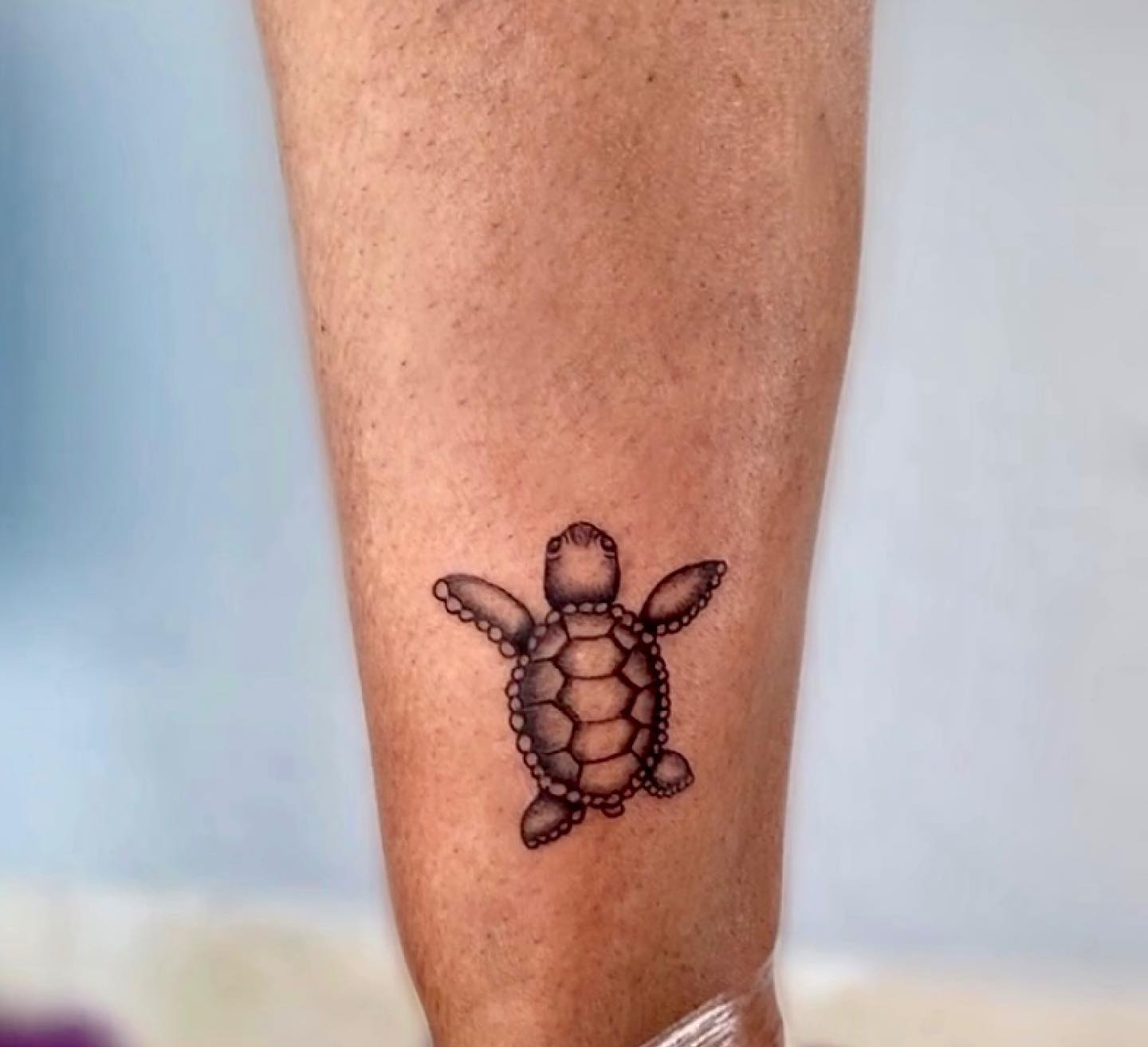 Cute Baby Turtle Tattoo small turtle tattoo ideas tattoo
