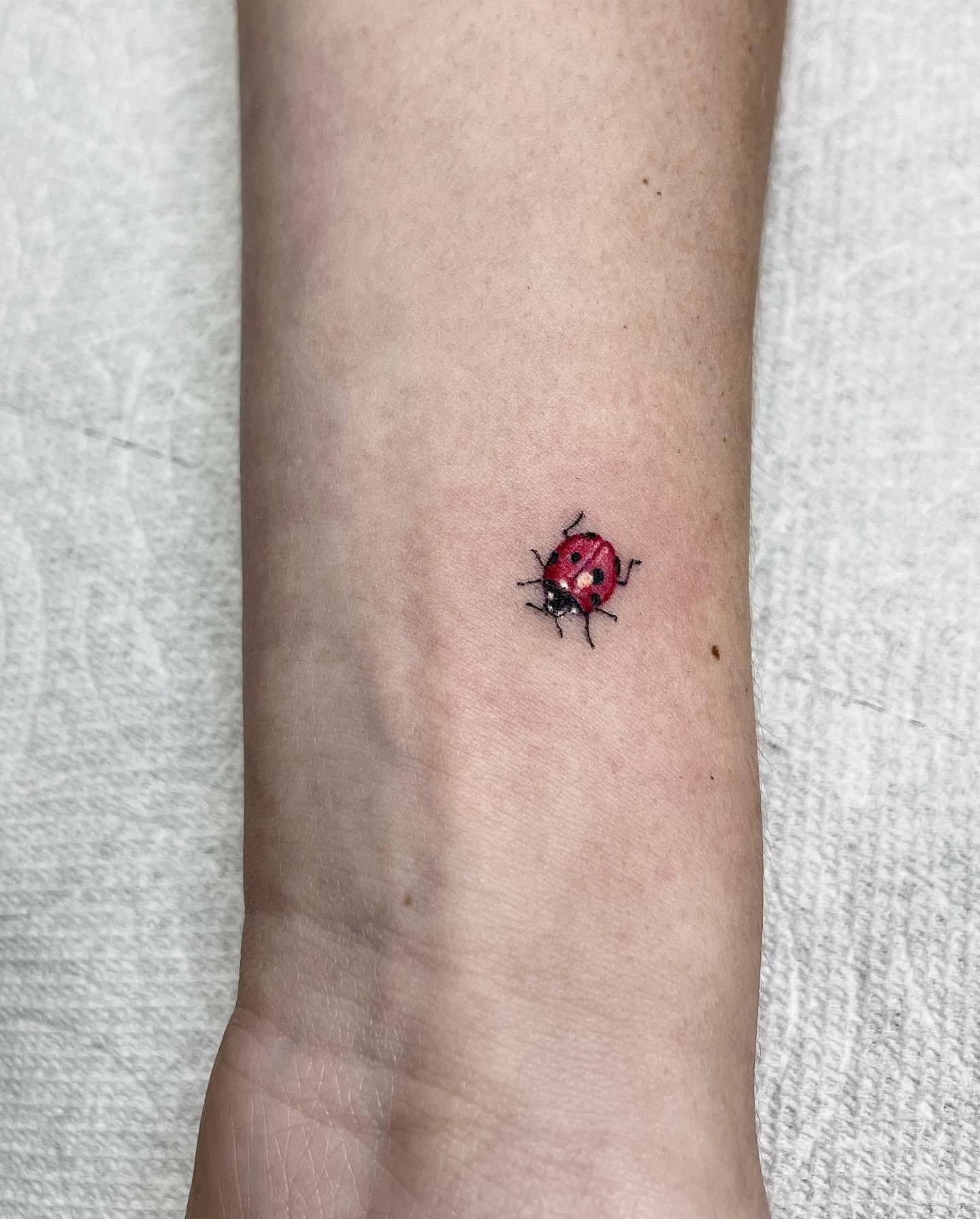 Tiny Ladybug Tattoo