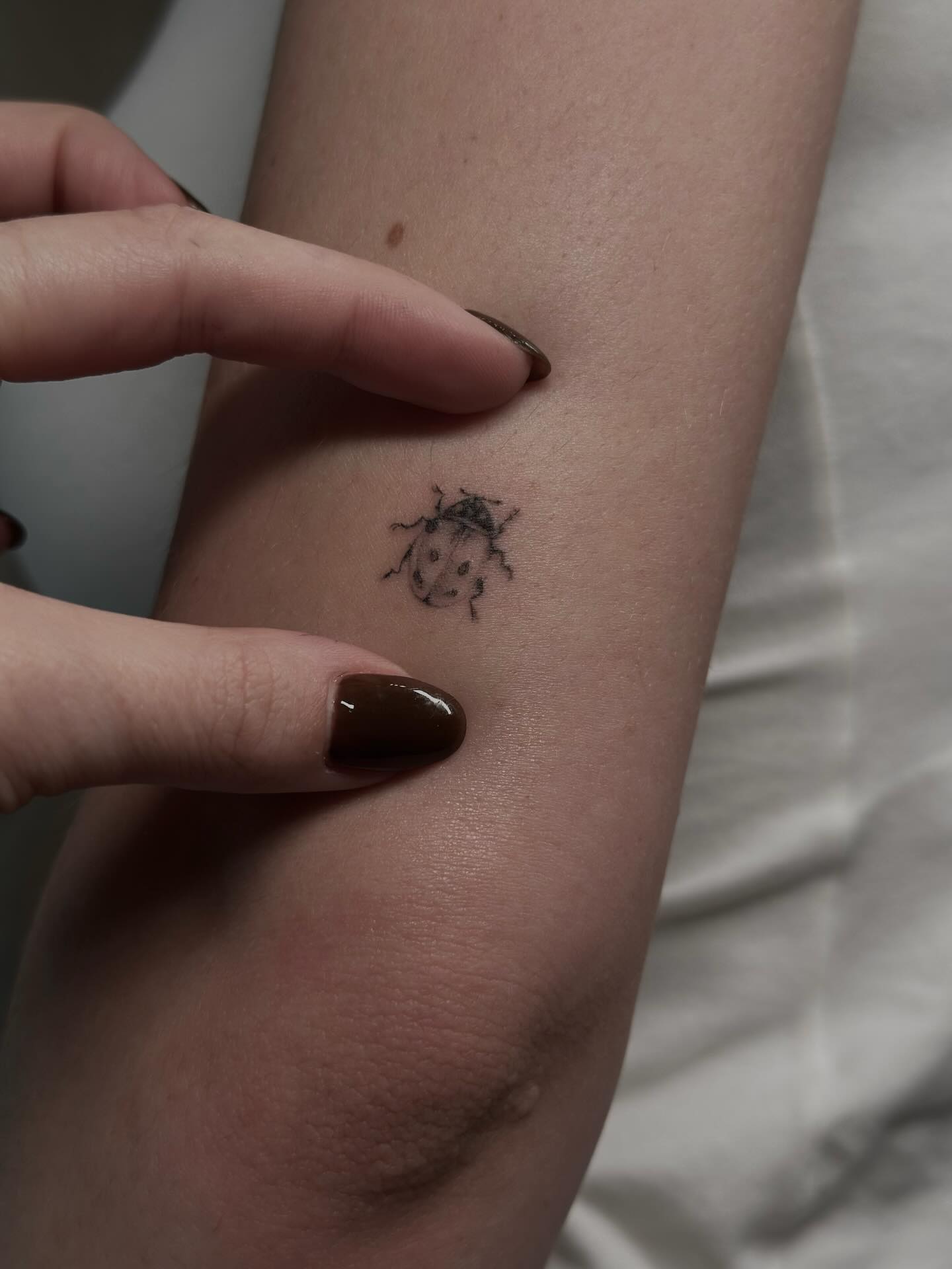 Ladybug With Hidden Gem Tattoo