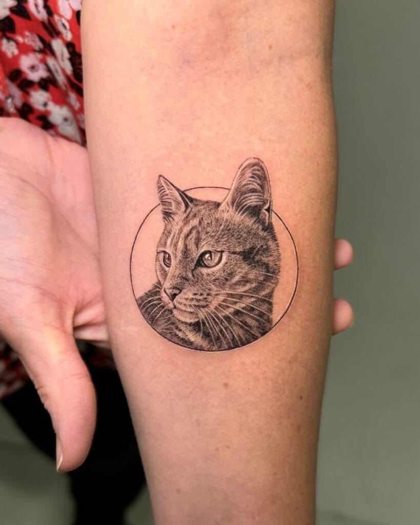 Detailed & Realistic Cat Portrait framed within a Simple Circular Outline pet memorial tattoos tattoo