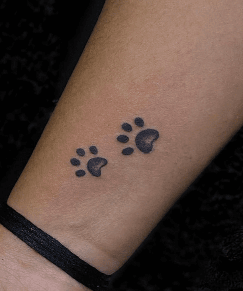 Dog Paw Prints