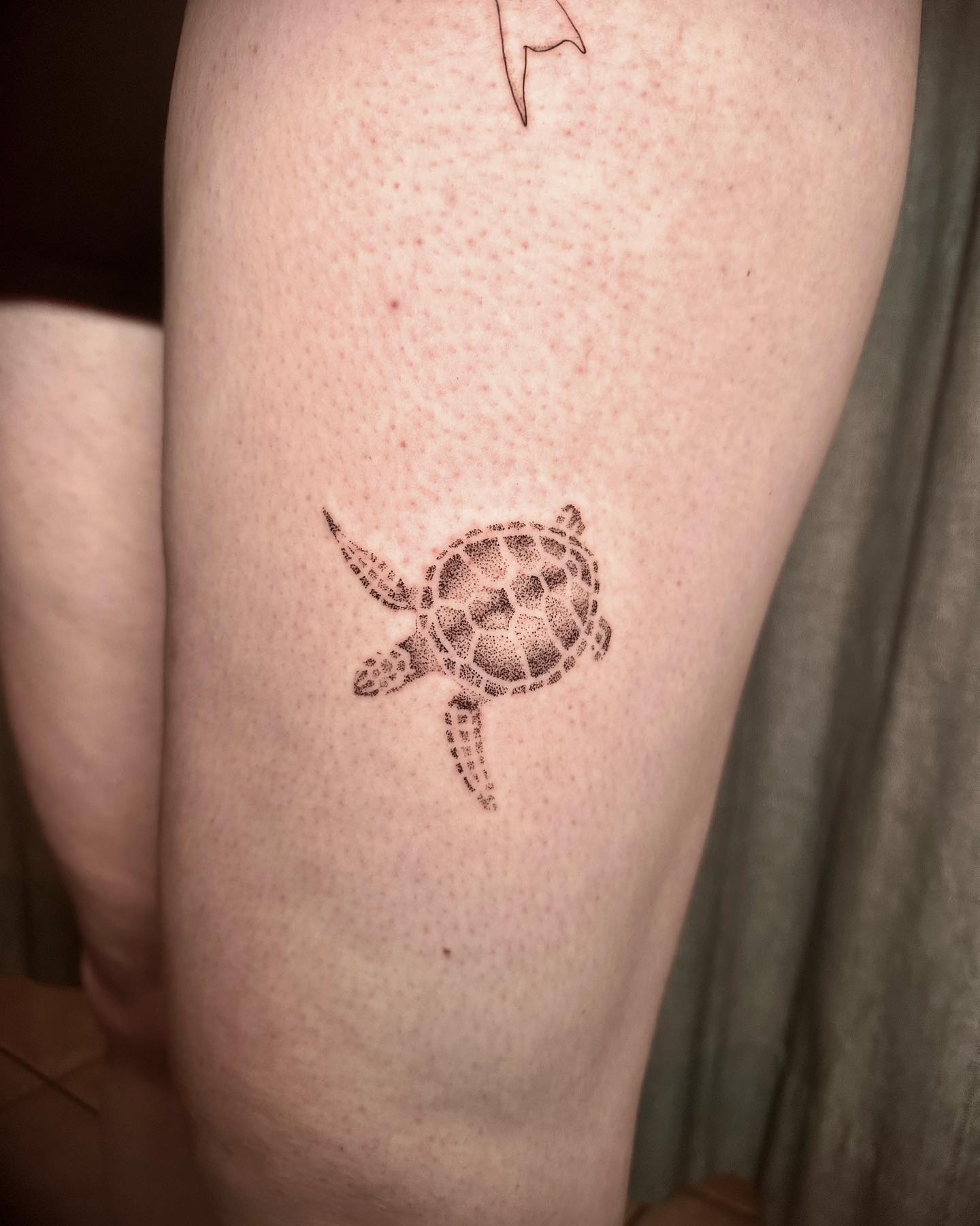Dotwork Sea Turtle Tattoo small turtle tattoo ideas tattoo