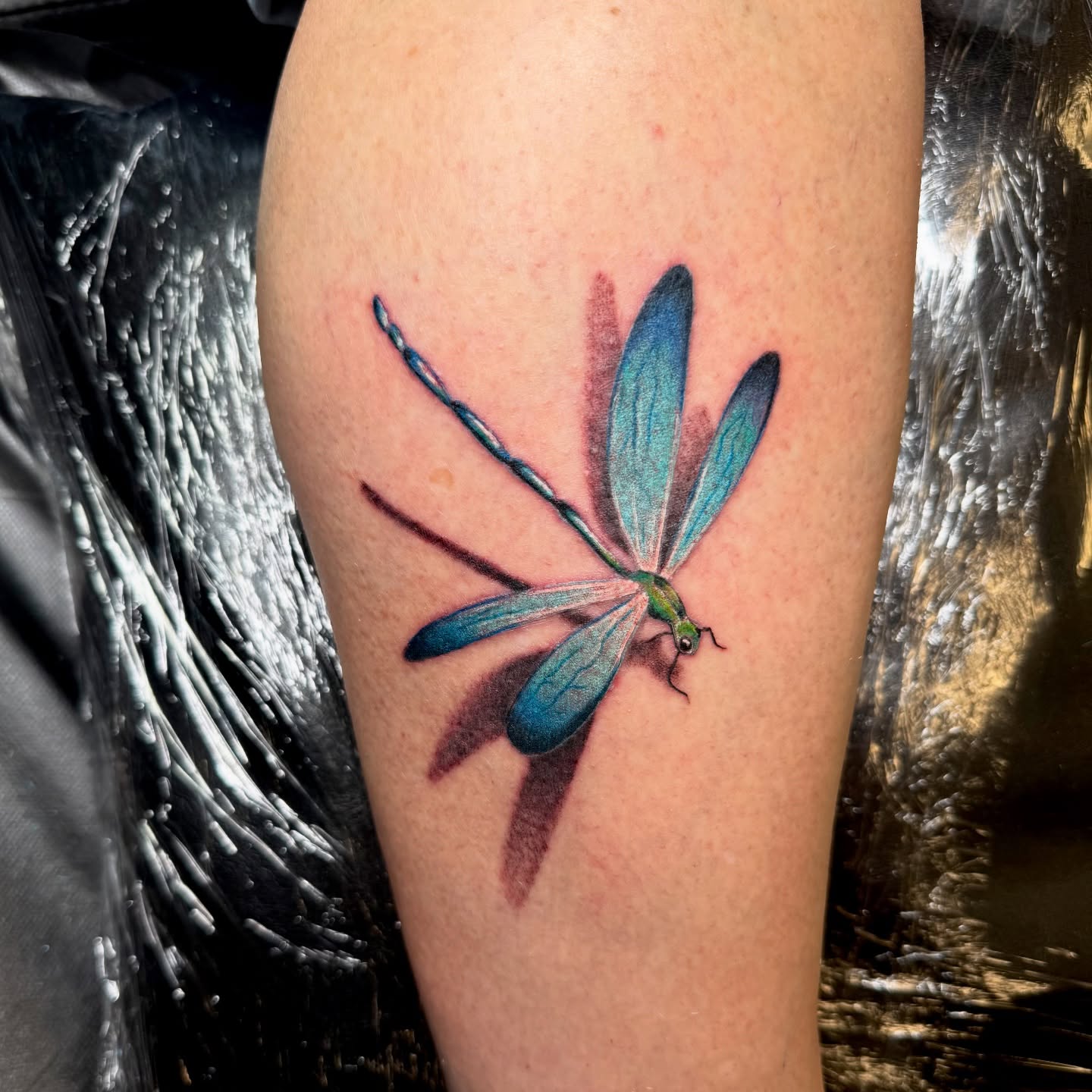 Blue Dragonfly Tattoo With Shadow Effect