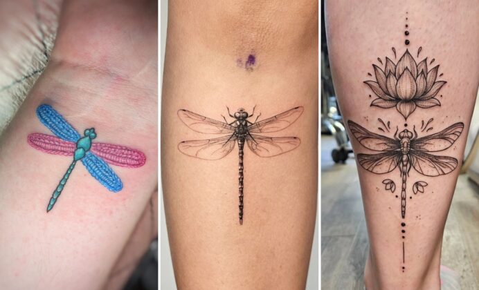 15+ Aesthetic Dragonfly Tattoo Ideas Showcasing Dragonfly Artistry