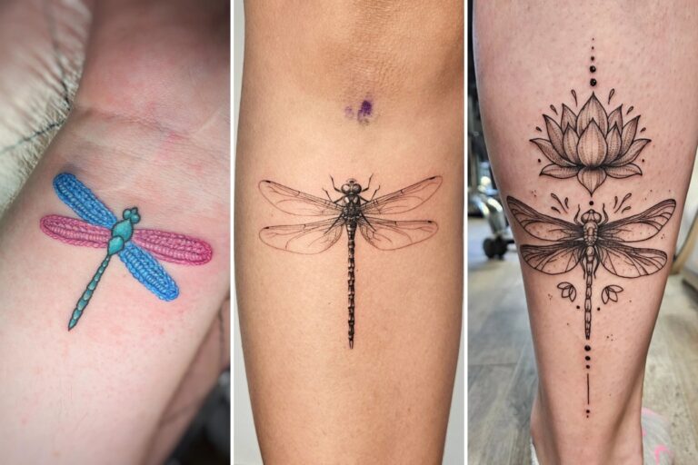 Aesthetic dragonfly tattoo ideas and delicate ink ideas collage