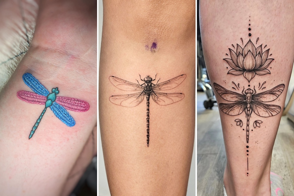 Aesthetic dragonfly tattoo ideas and delicate ink ideas collage