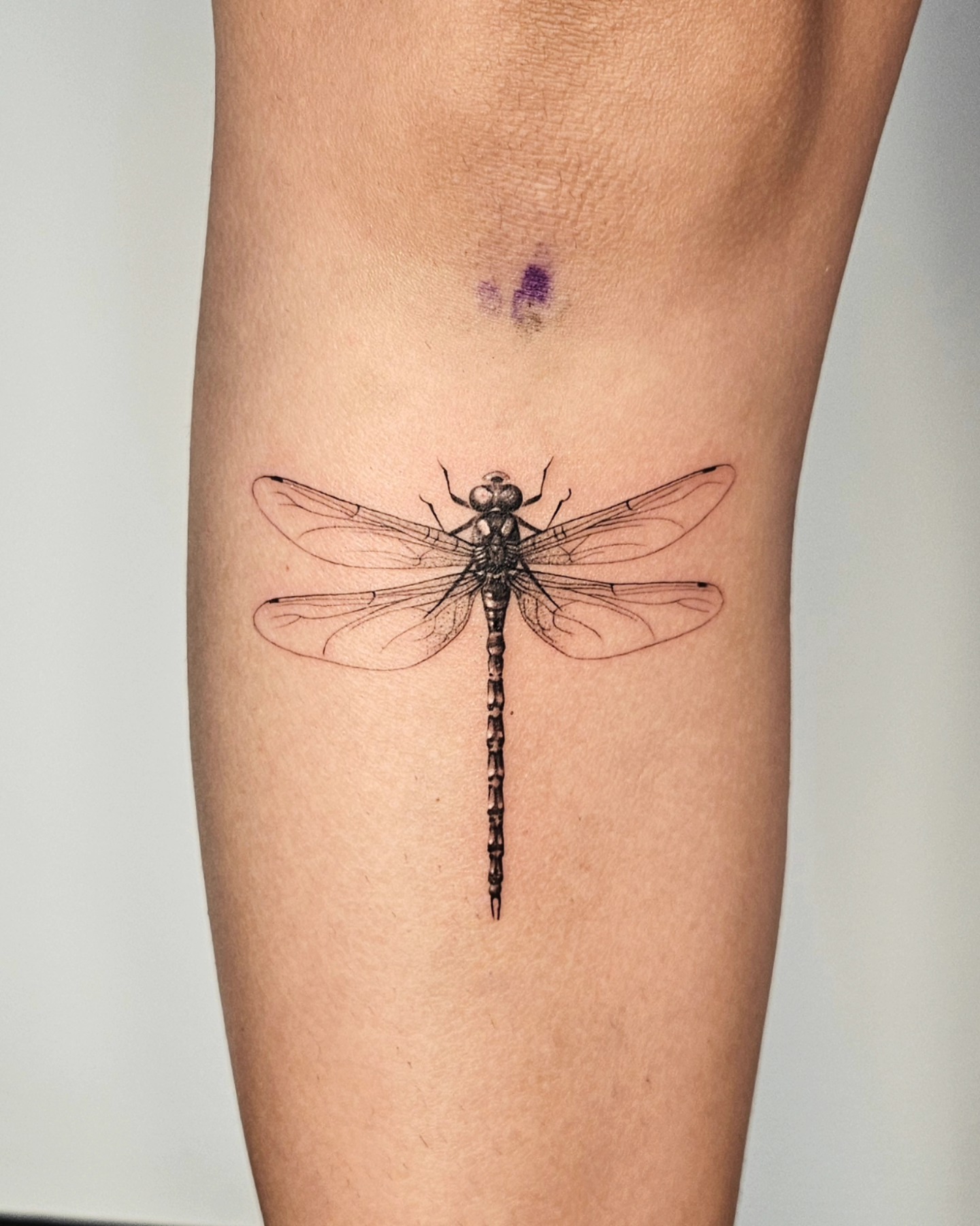 Realistic Fine Line Dragonfly Tattoo