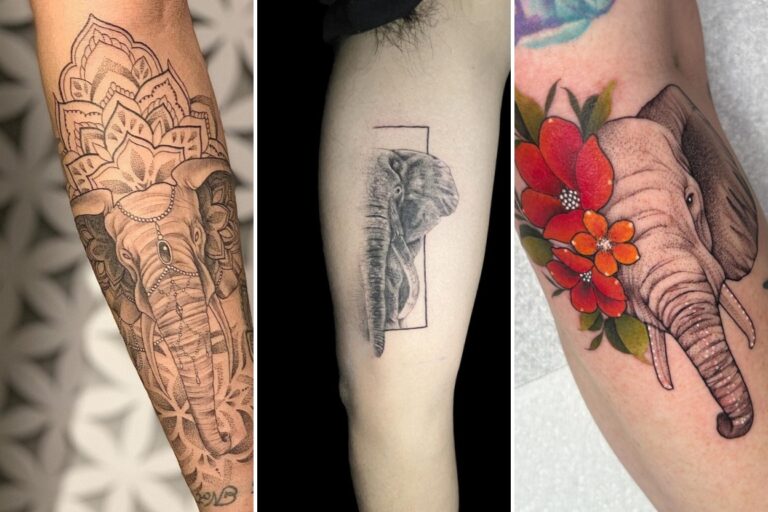 Aesthetic elephant tattoos and delicate ink ideas collage