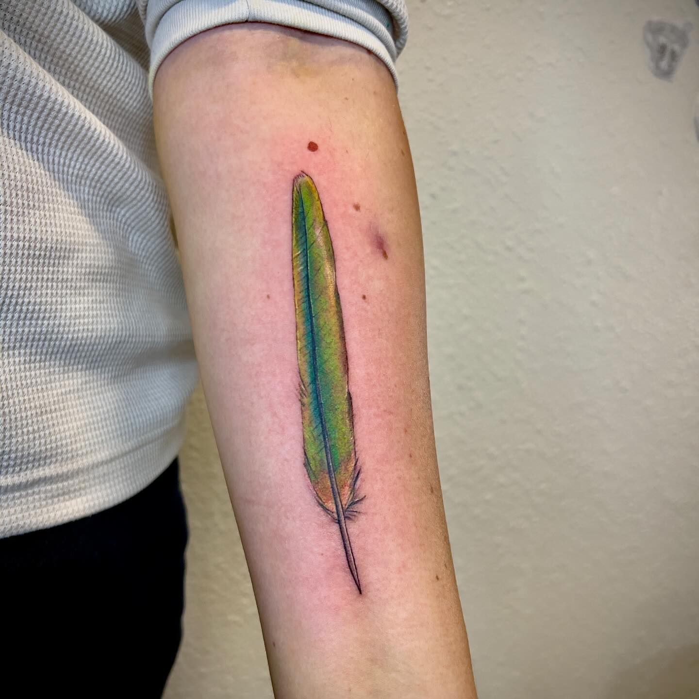 Colorful Feather Tattoo