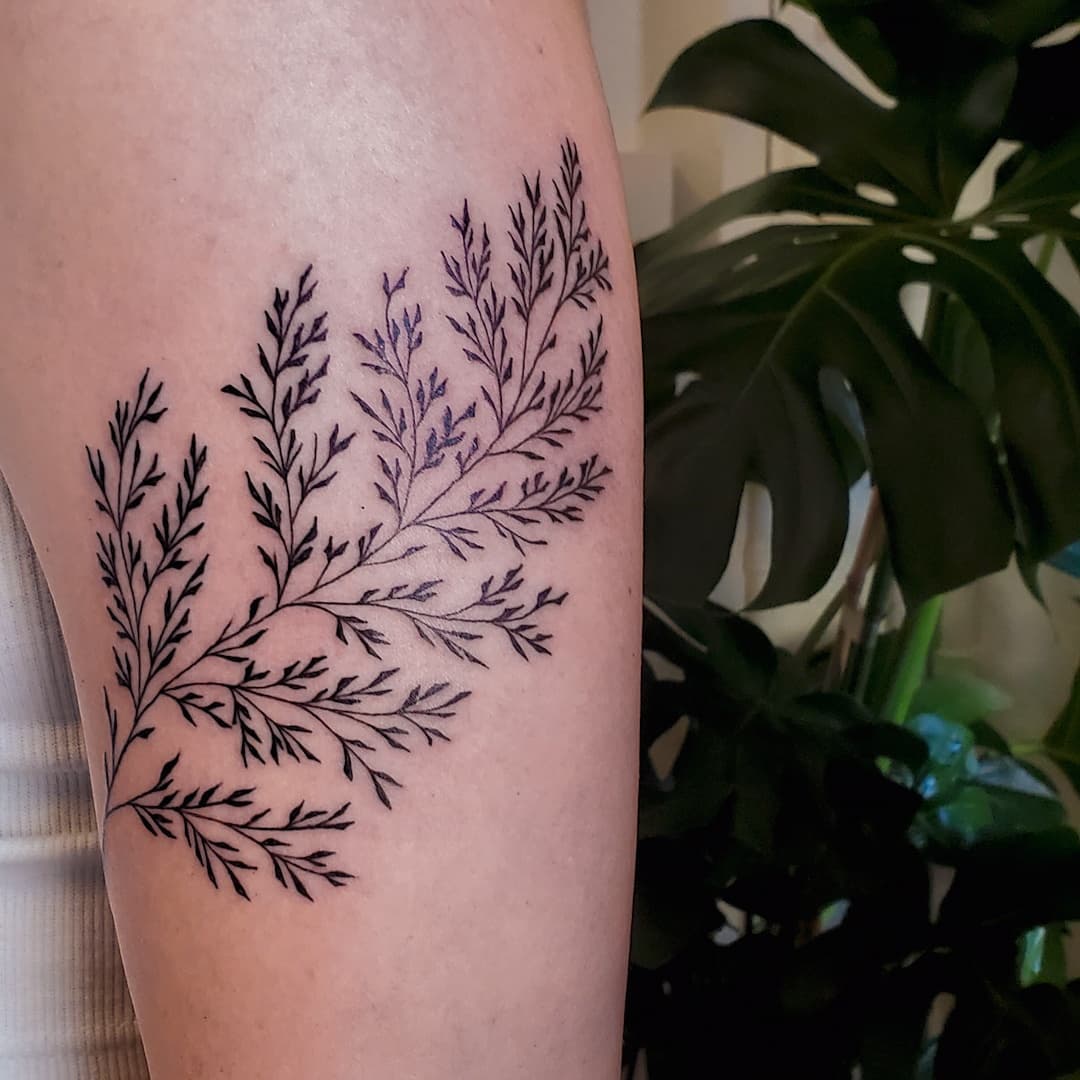 Delicate Fern Branch Tattoo