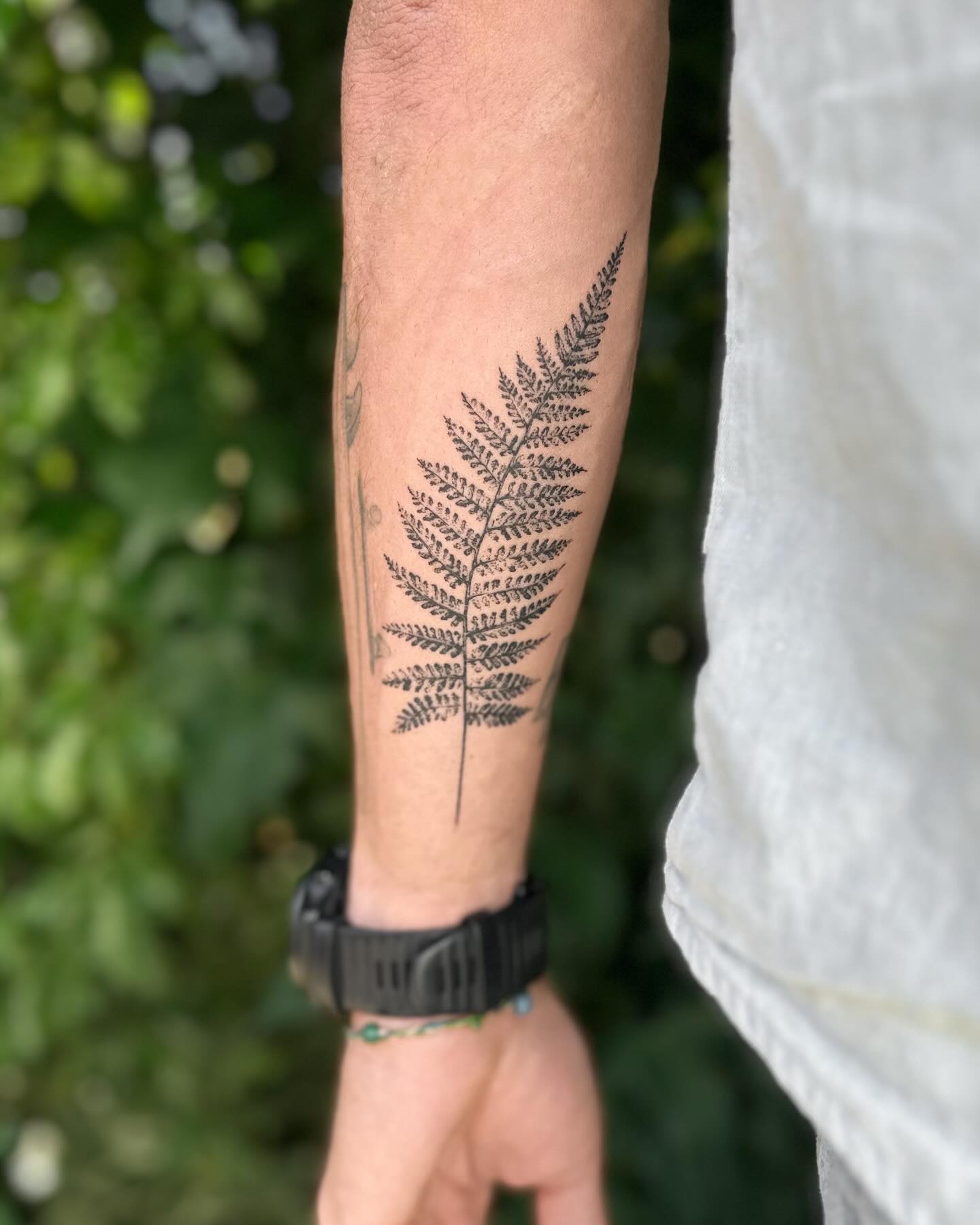 Fine Line Fern Frond Tattoo