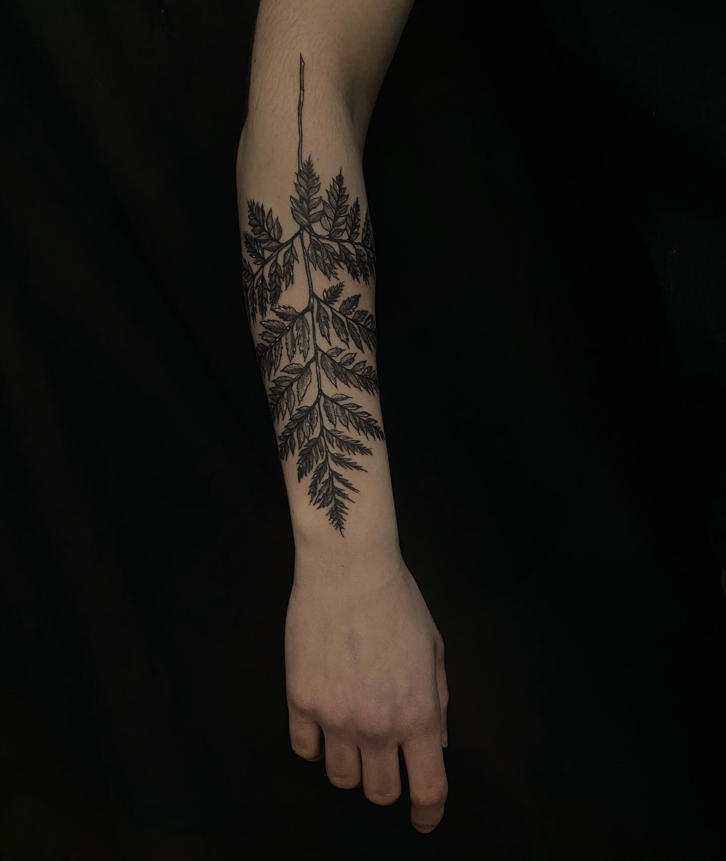 Hanging Fern Frond Tattoo
