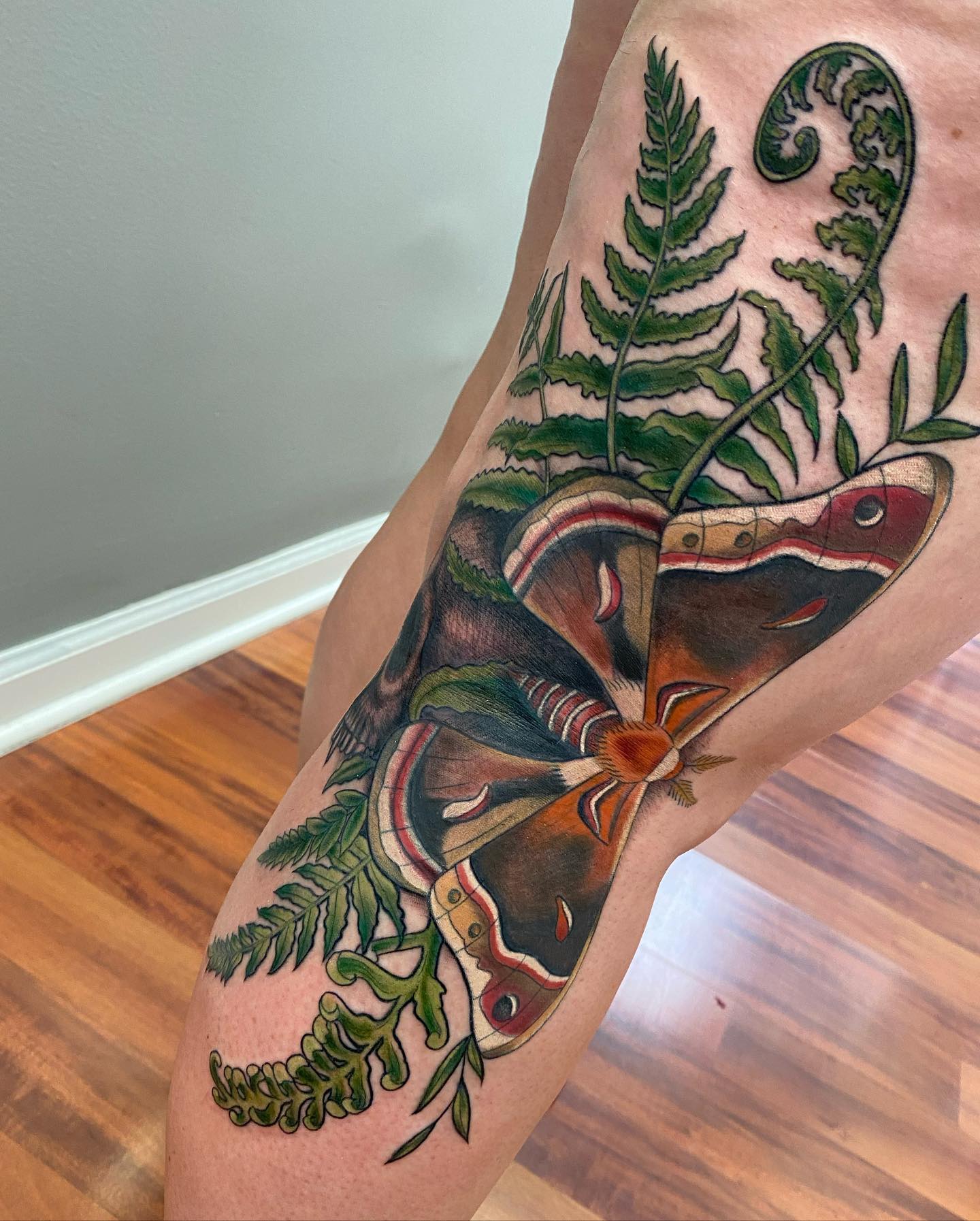 Luna Moth And Fern Tattoo
