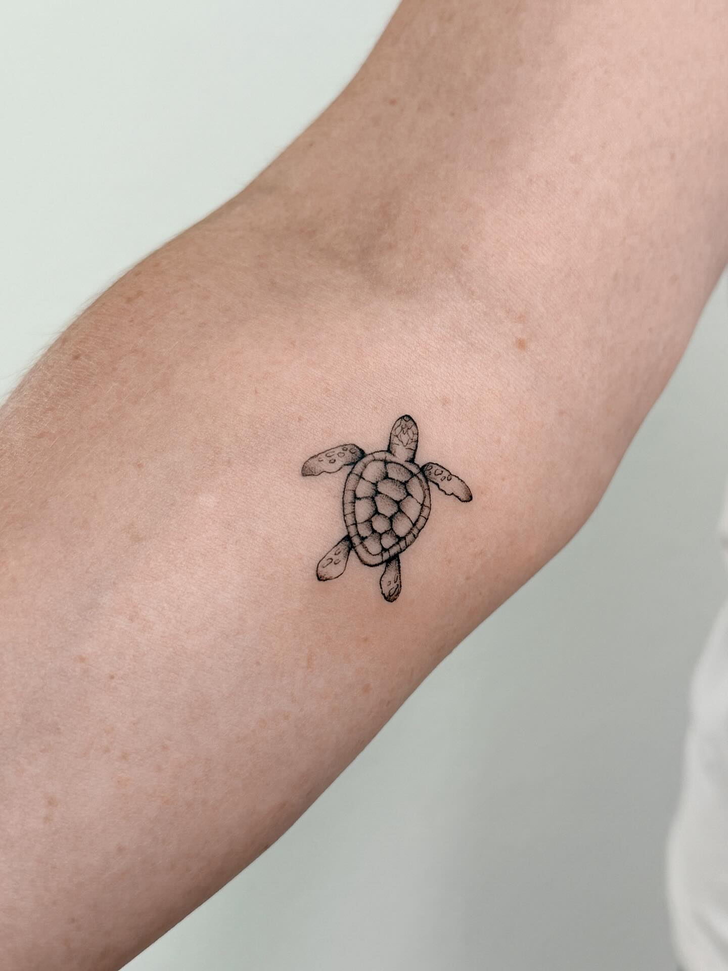 Fine Line Dotwork Textured Sea Turtle sea turtle tattoo