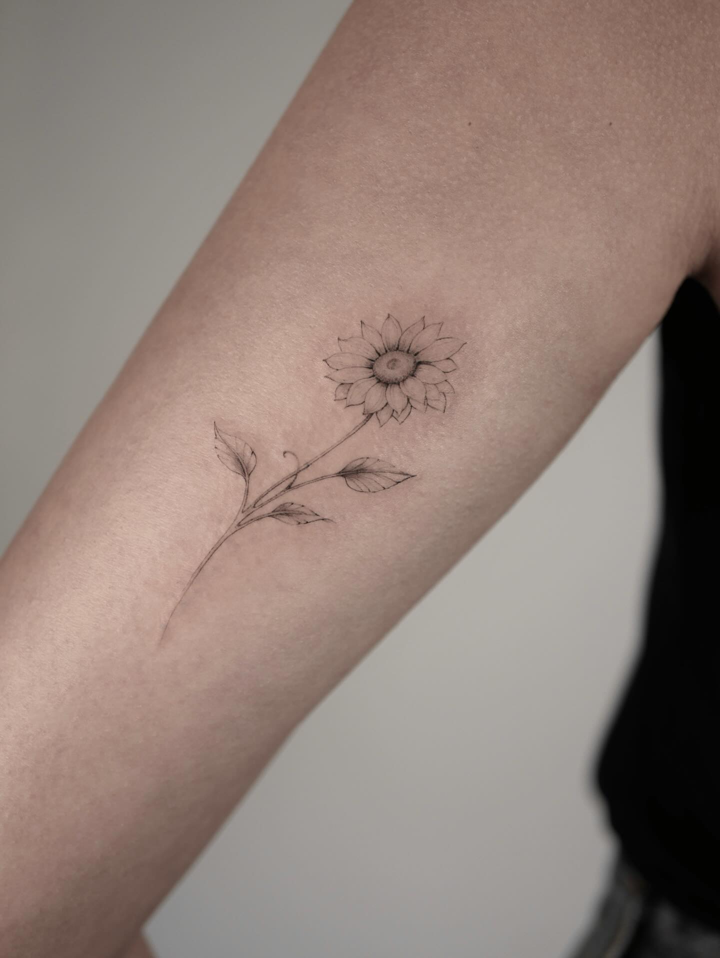 Fine Line Sunflower Stem Tattoo small sunflower tattoos ideas tattoo