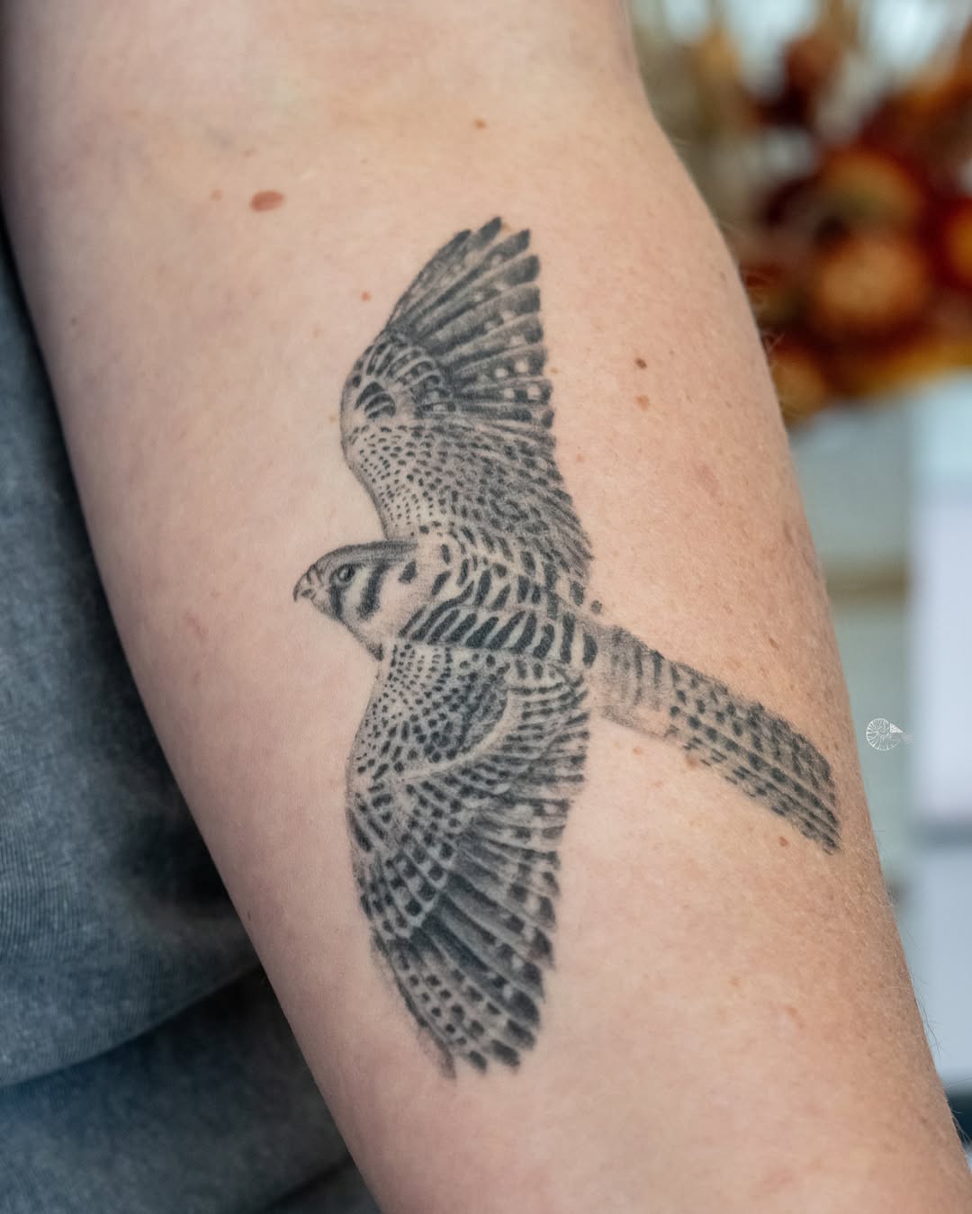 Flying Falcon Tattoo bird tattoos ideas for women tattoo