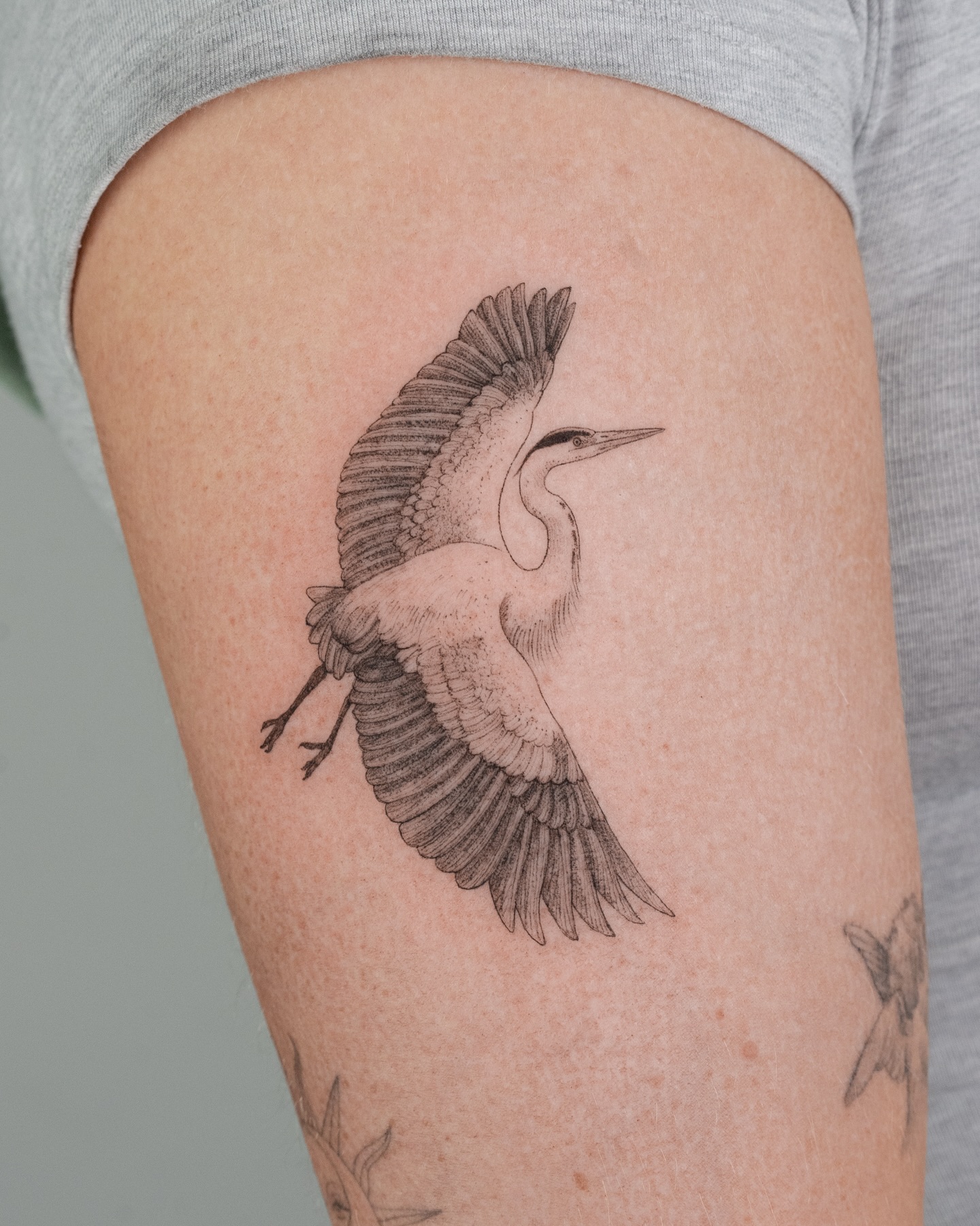 Flying Heron Tattoo bird tattoos ideas for women tattoo