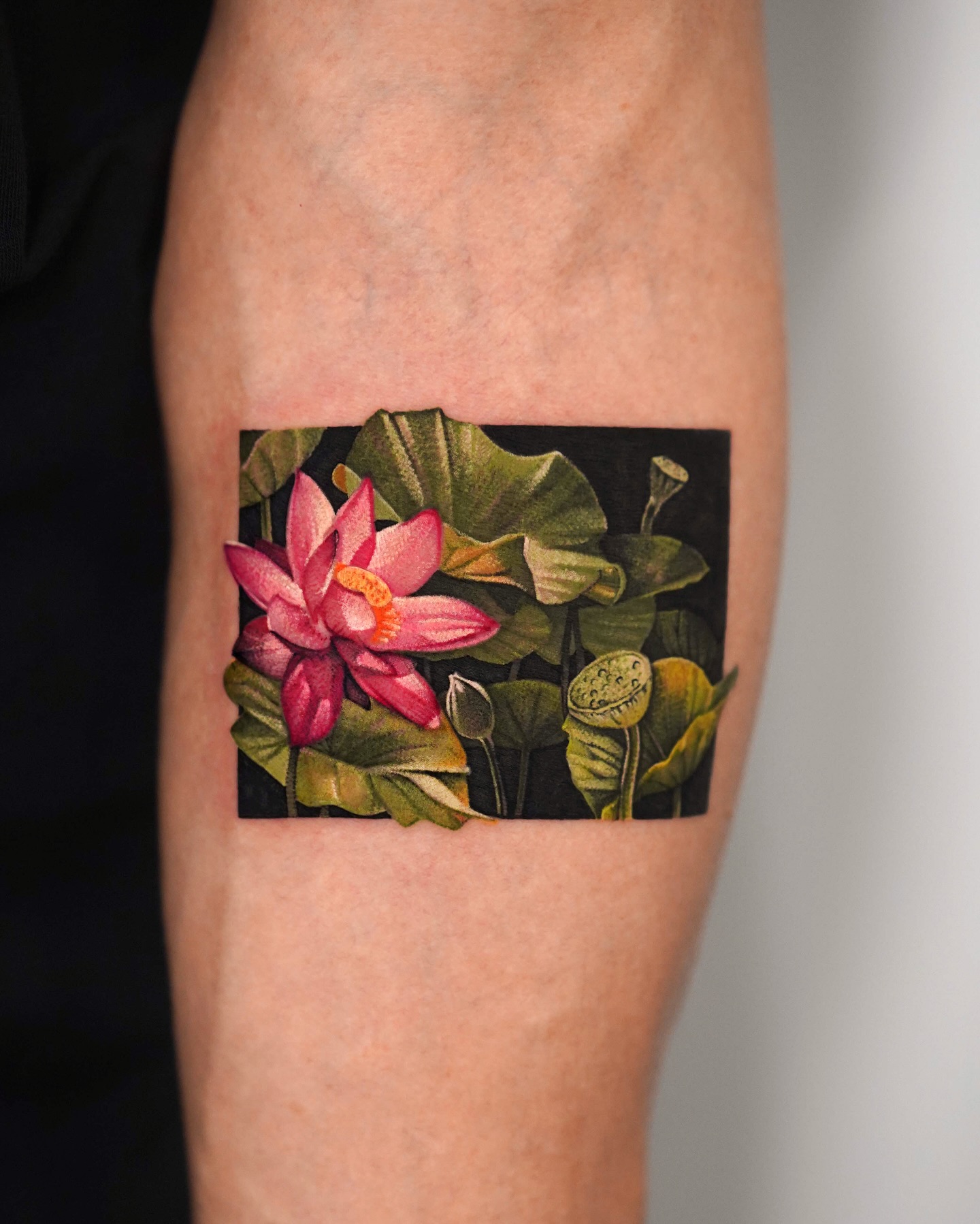 Framed Lotus Pond Scene Tattoo lotus flower tattoo ideas meaning tattoo