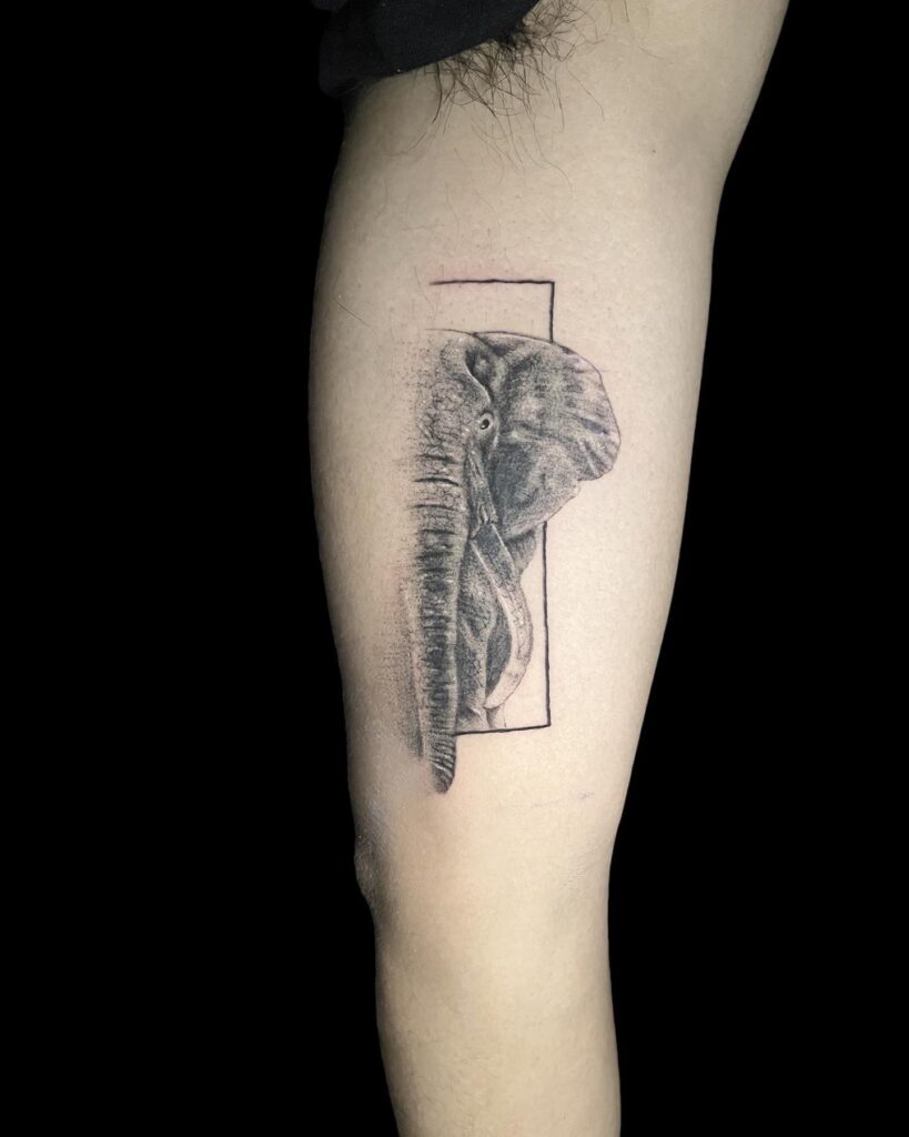 Half frame elephant leg tattoo with realistic textures