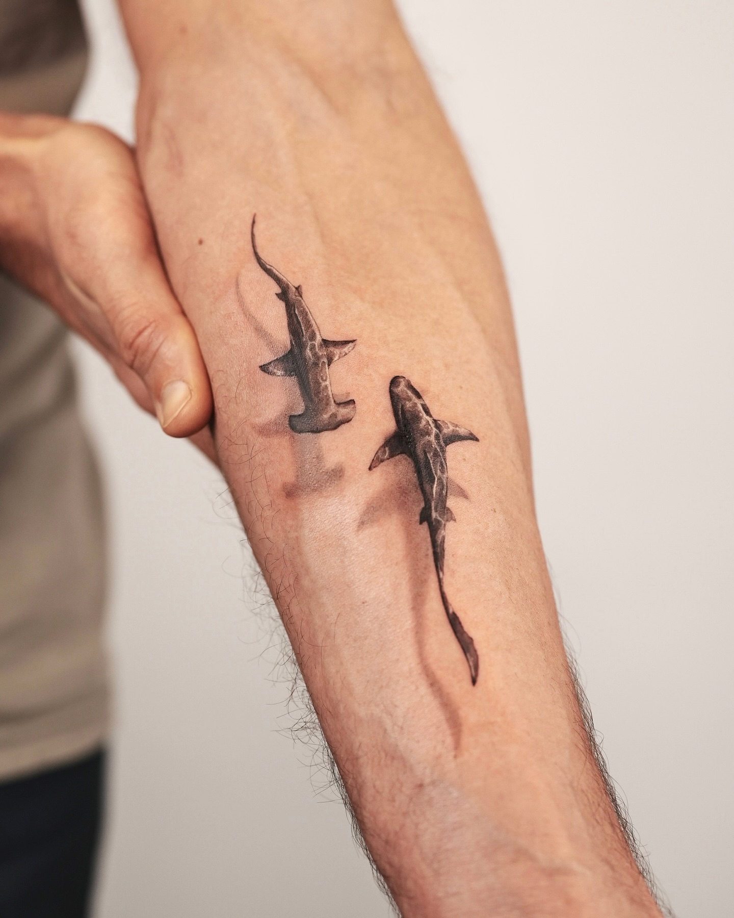 Fierce Great White Shark Tattoo
