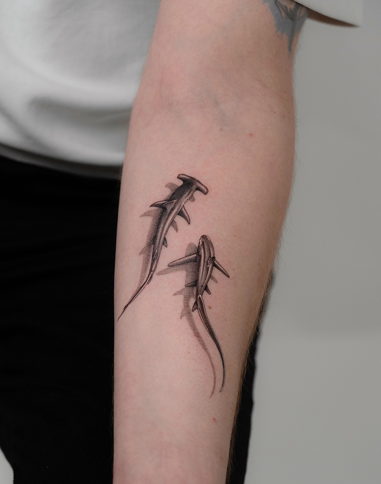 Small Realistic Shark Shadow Tattoo