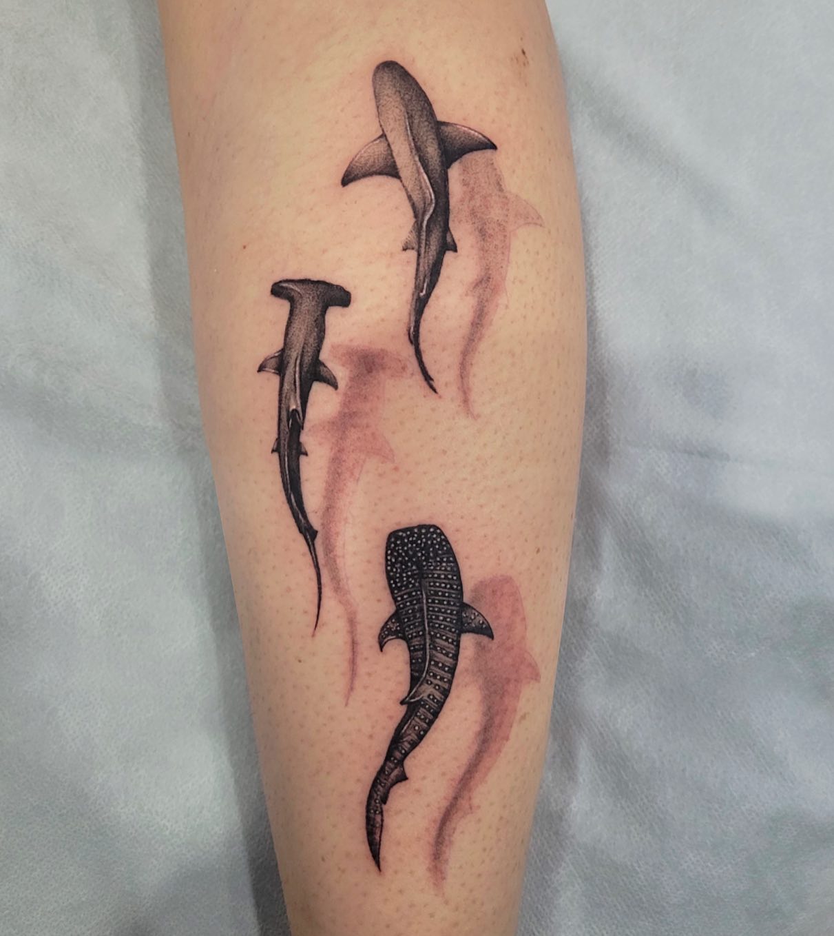 Bold Bull Shark Side Profile Tattoo