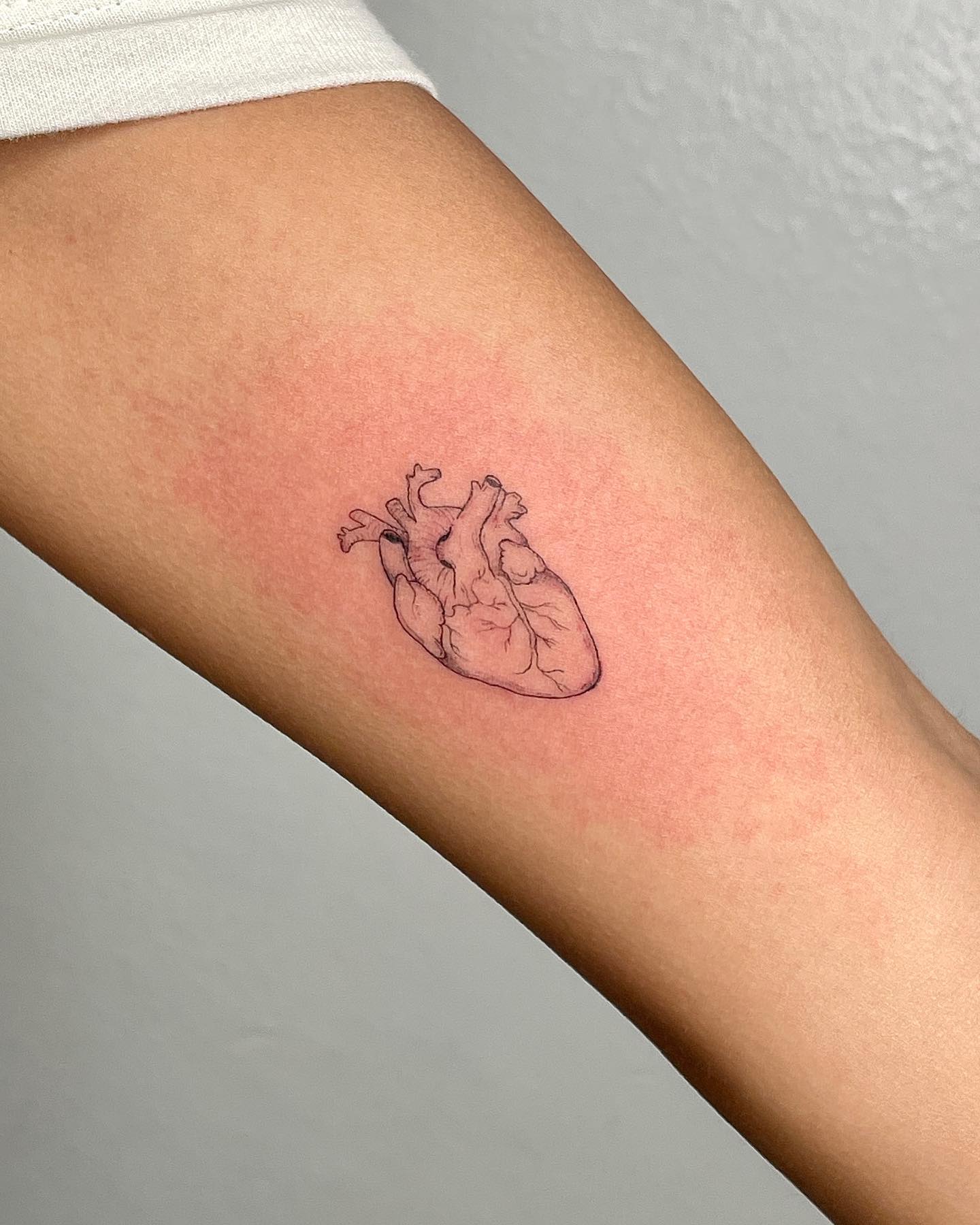Minimal Fine Line Anatomical Heart Tattoo