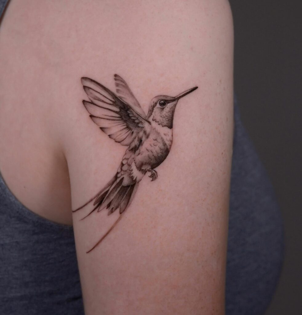 Hummingbird with Flowing Tail Feathers hummingbird tattoos tattoo