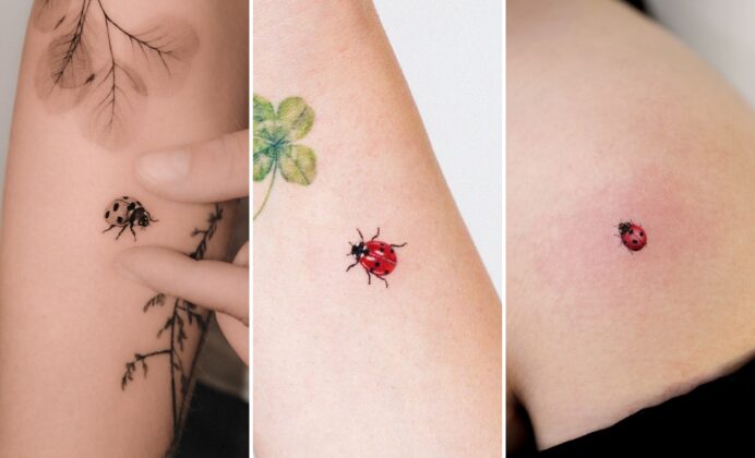 15+ Lucky Ladybug Tattoo Ideas Bringing Gentle Fortune and Bright Charm