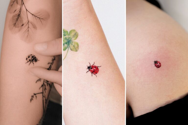 Aesthetic lady bug tattoos and delicate ink ideas collage