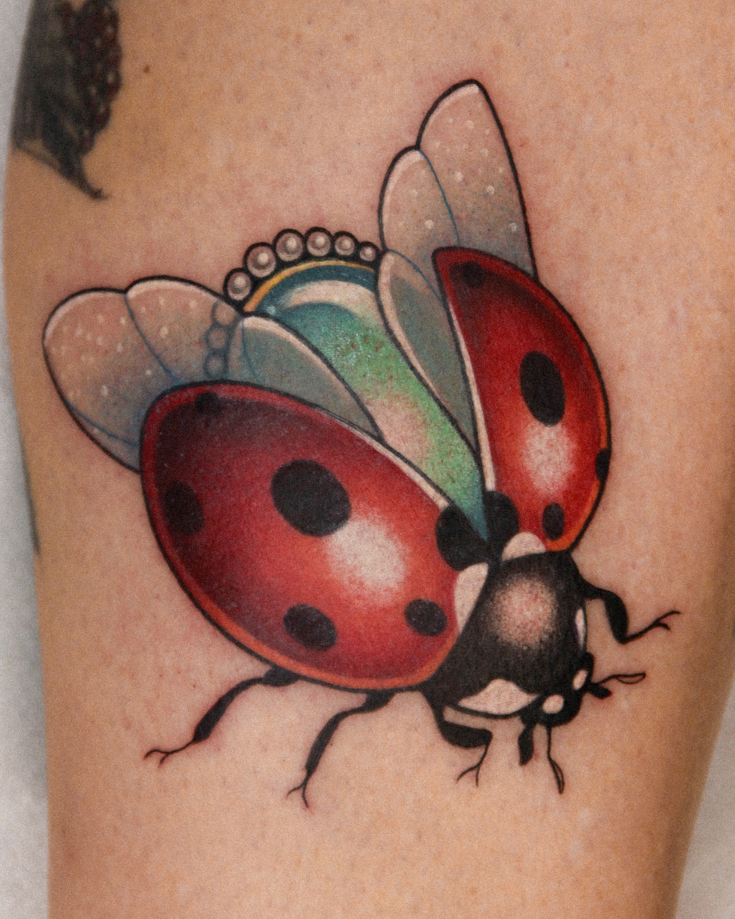 Delicate Ladybug Tattoo Between Fingers